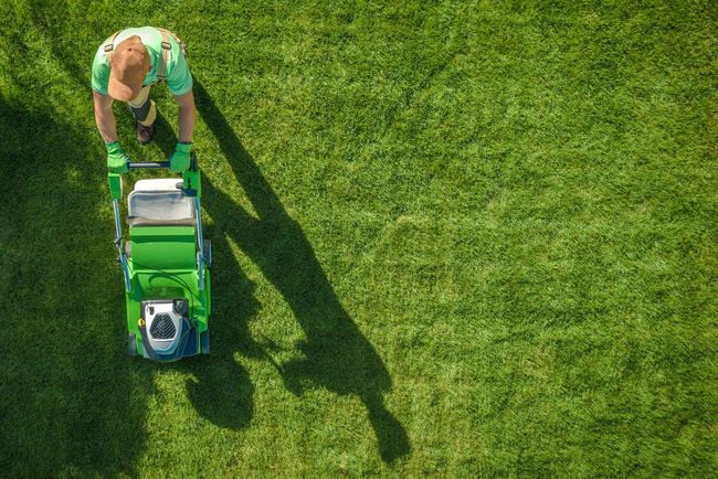 Person pushing a green lawn mower across a grassy lawn from an overhead view