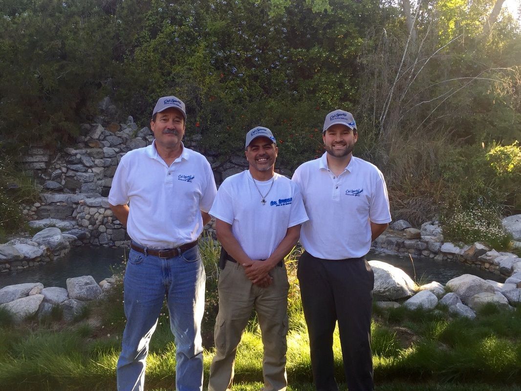 Three men are posing for a picture in front of a waterfall.