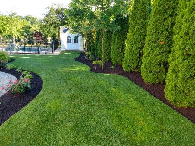 A Lush Green Lawn Surrounded By Trees And Bushes In A Backyard - Perry Hall, MD - Oakwood Landscaping LLC