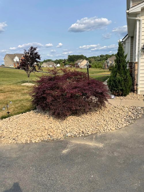 There Is A Bush In The Middle Of A Driveway Next To A House - Perry Hall, MD - Oakwood Landscaping LLC