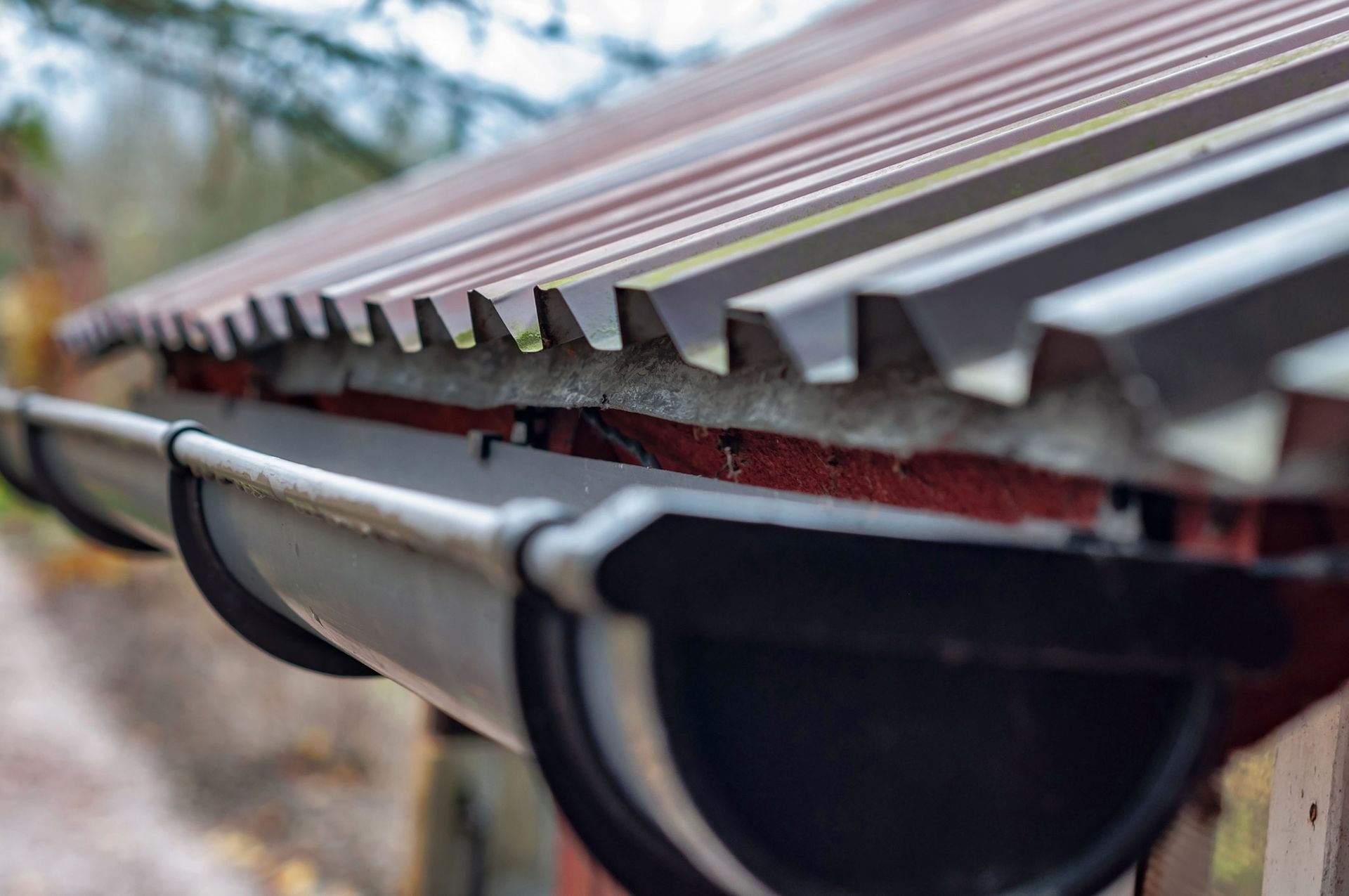 Gutter With Dry Fallen Leaves — Berlin, MD — Eastern Shore Gutters
