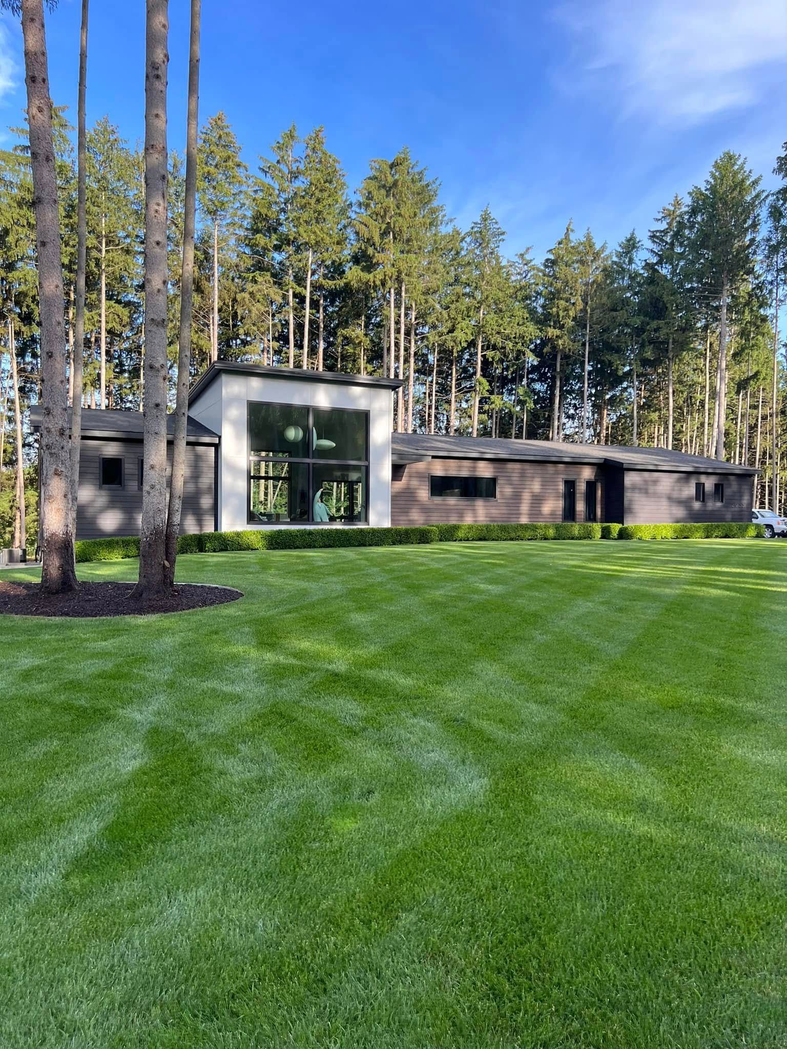 Modern glass-and-stone house with tall pine trees and a large green lawn under a blue sky