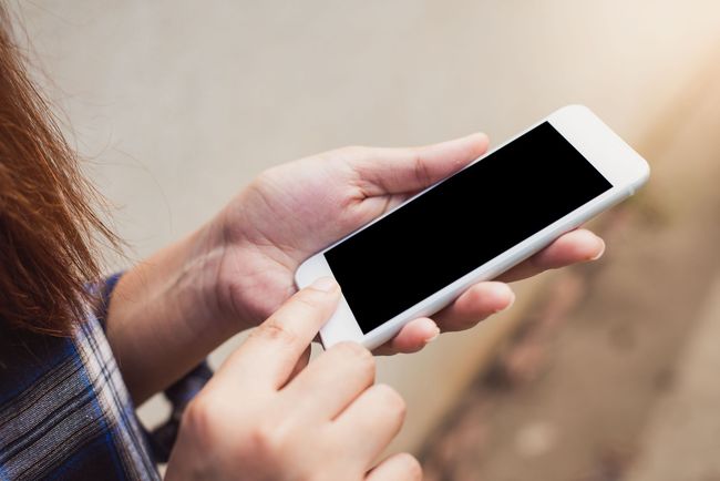 Person holding a cell phone.