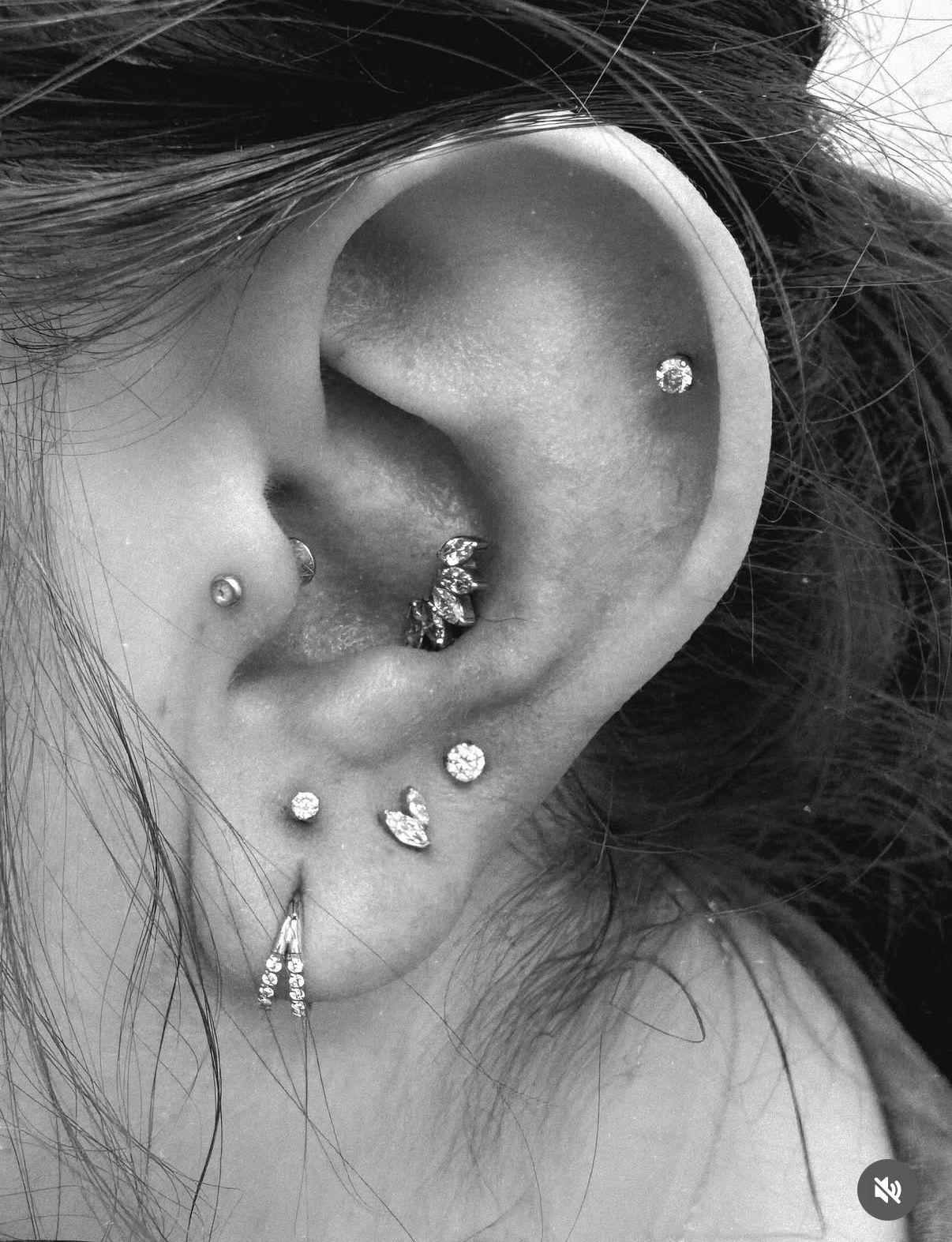 Close-up of a human ear in black and white, featuring multiple decorative piercings, including a daith and earlobe studs.