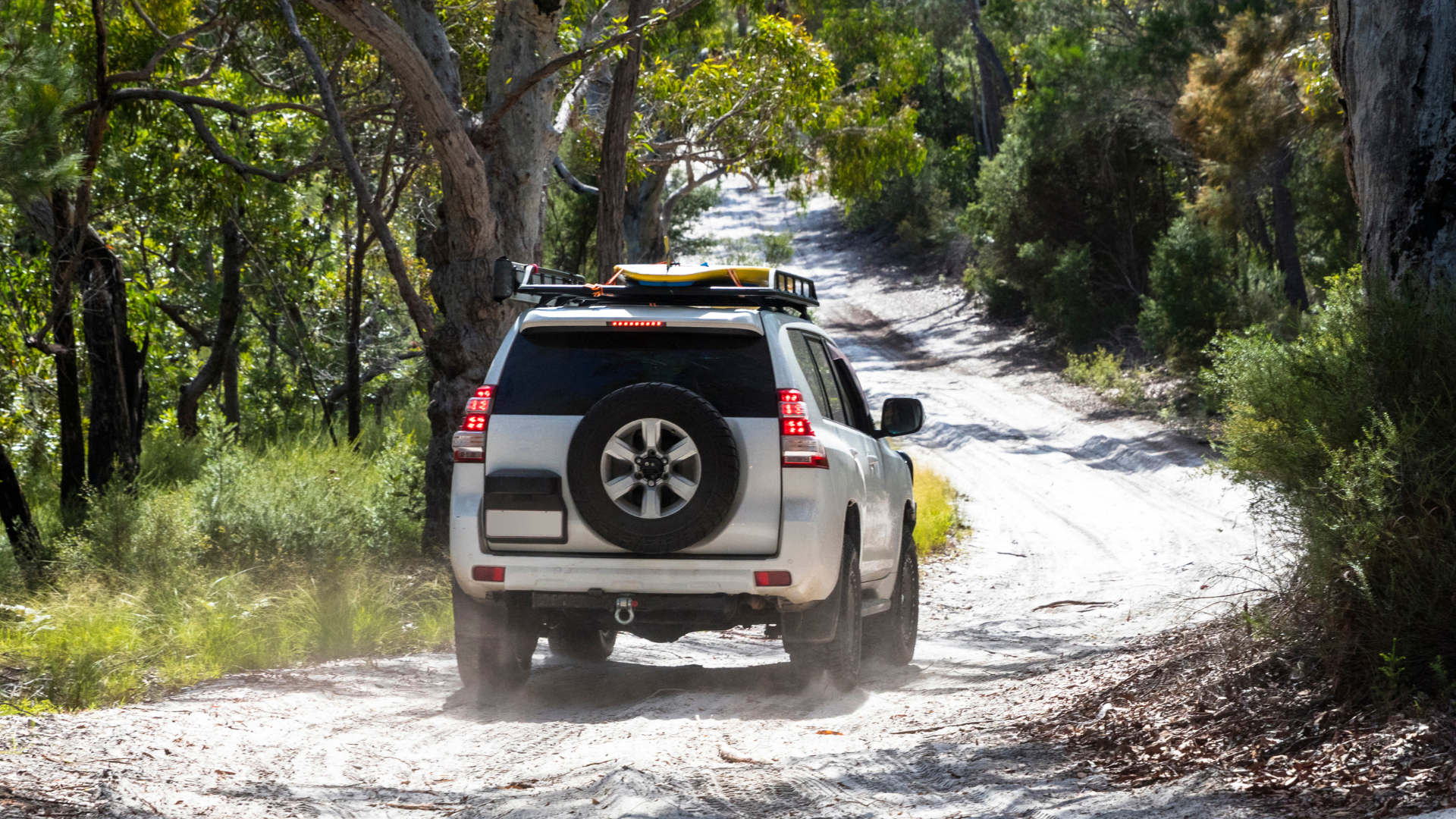 White SUV driving on a dusty forest road through dense green trees