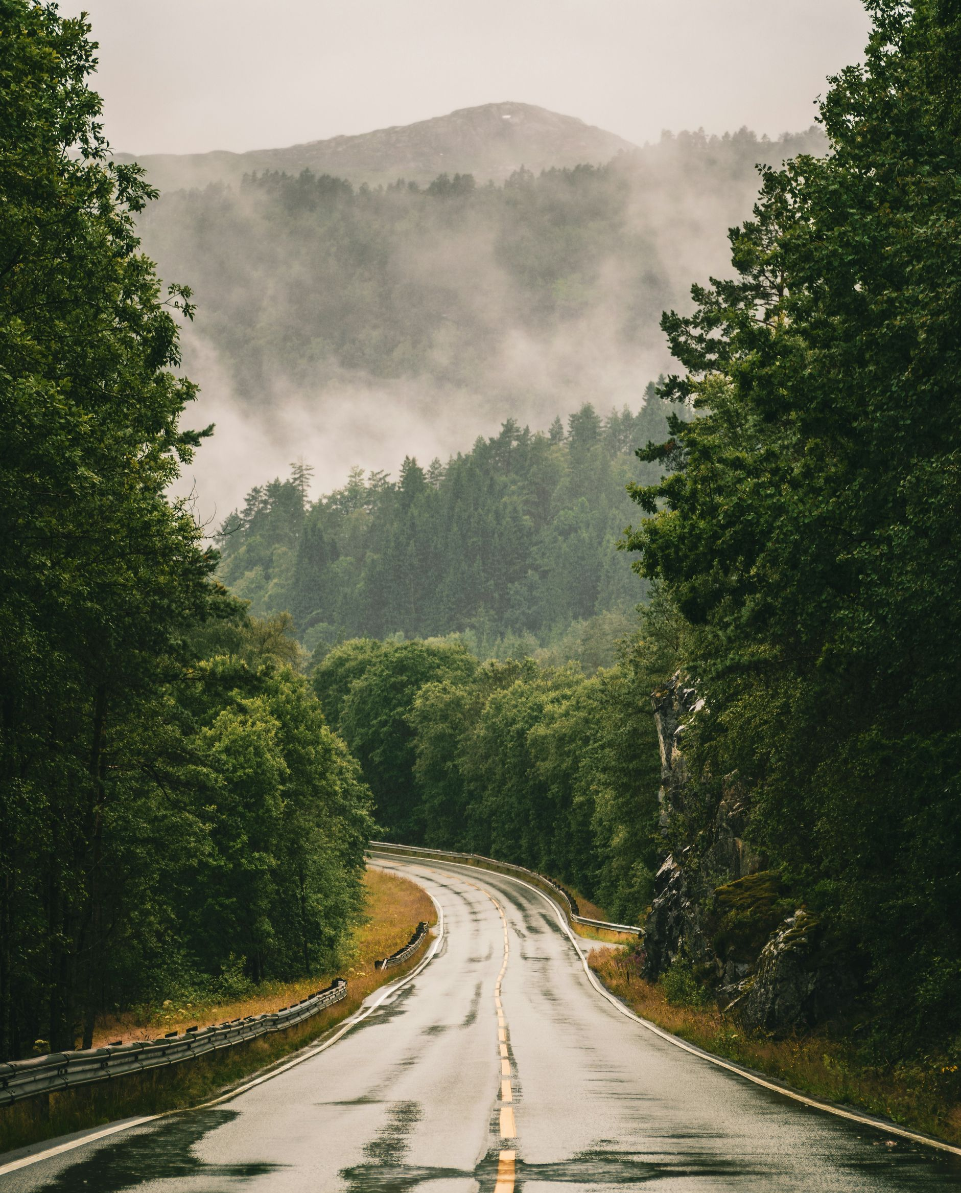 Wet road winding through a misty green forest with mountains in the background