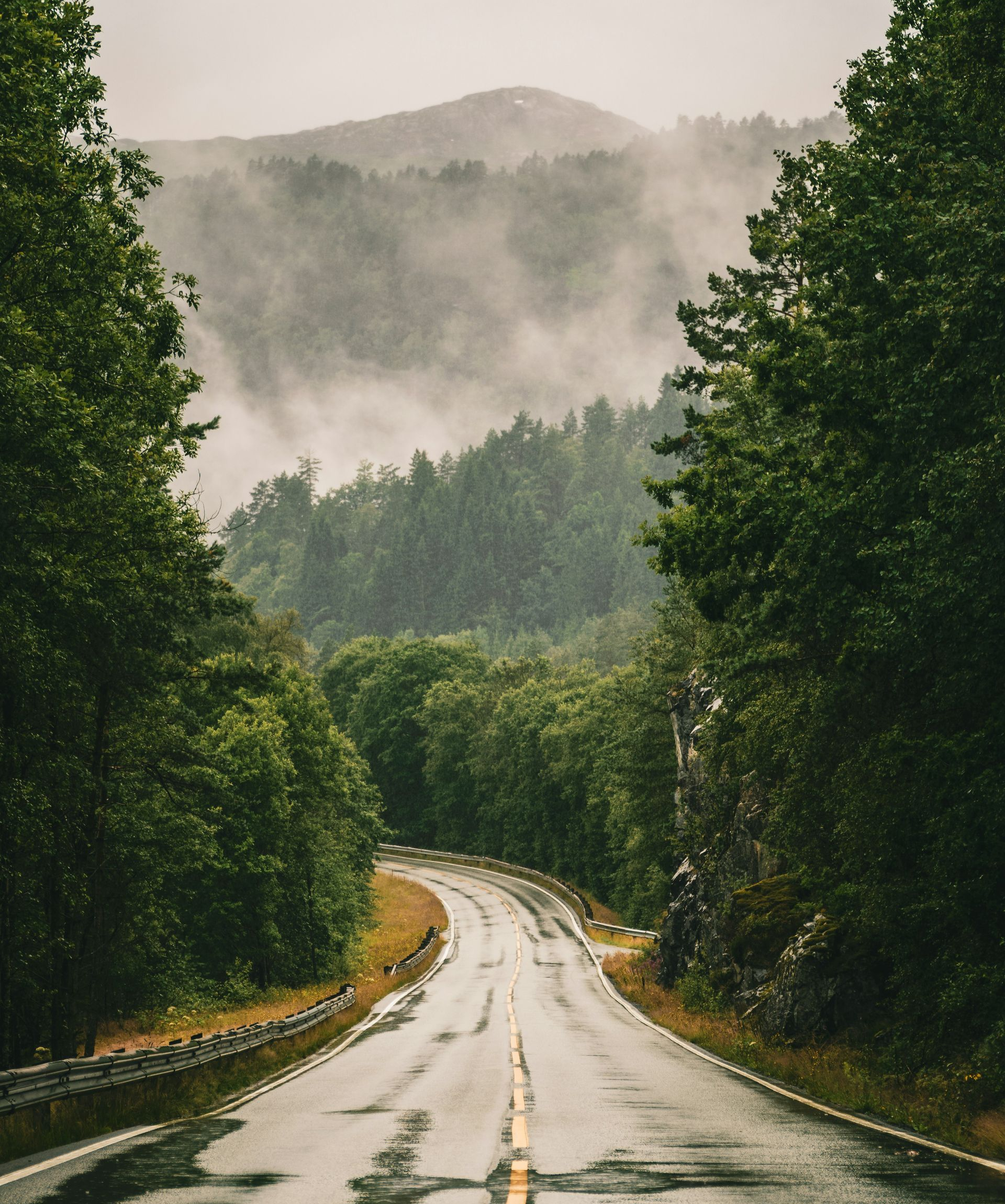 Wet road winding through a misty green forest with mountains in the background