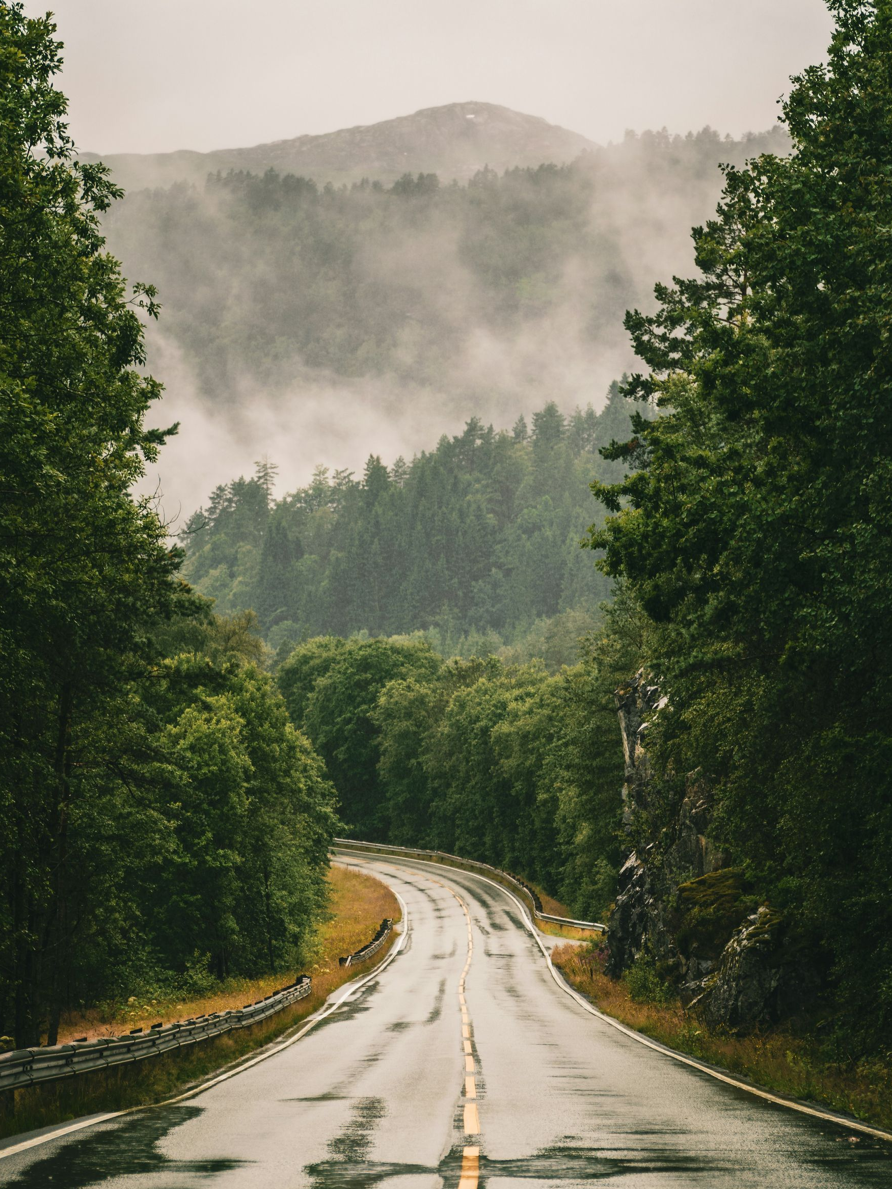 Wet road winding through a misty green forest with mountains in the background