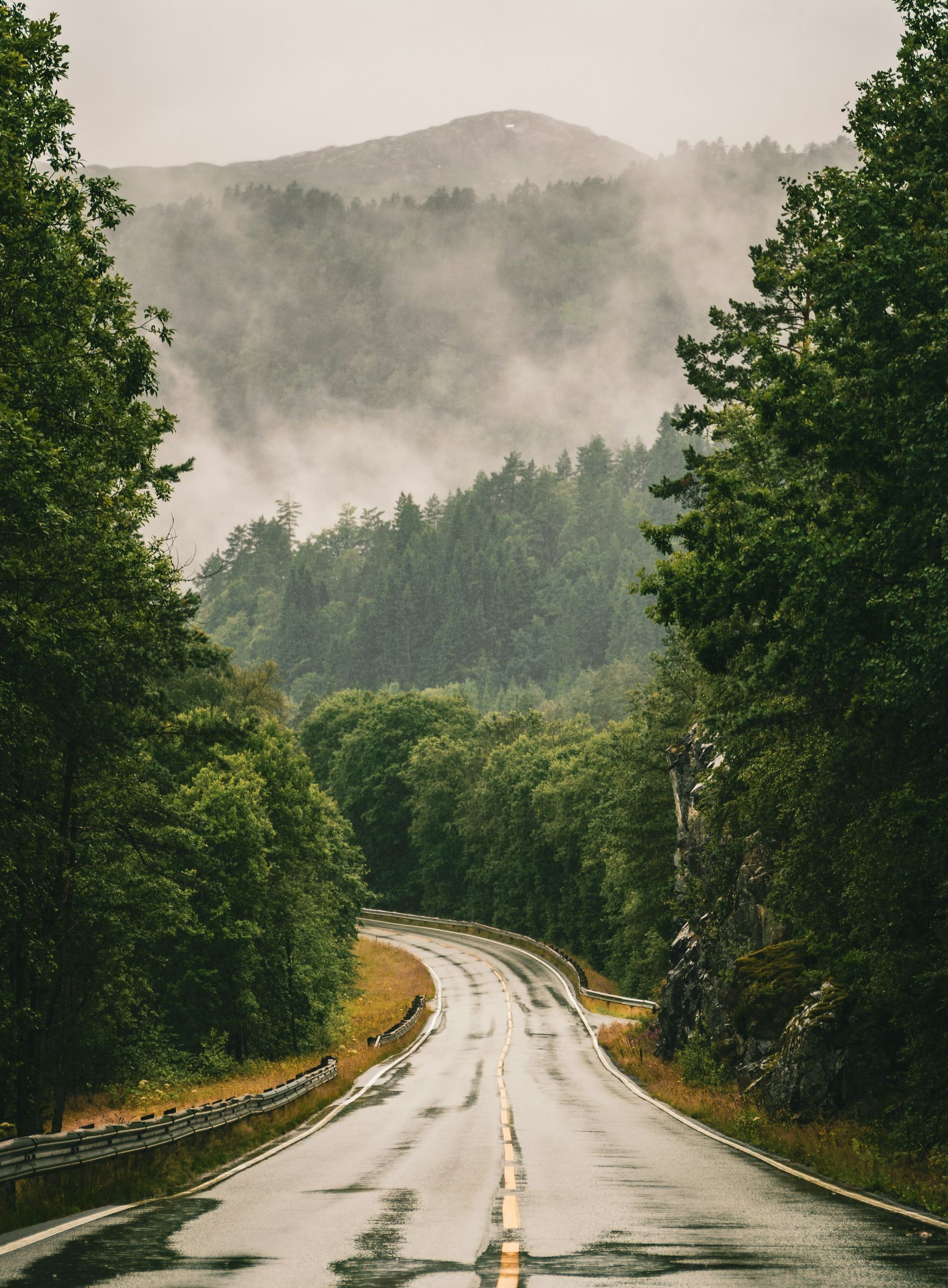 Wet road winding through a misty green forest with mountains in the background