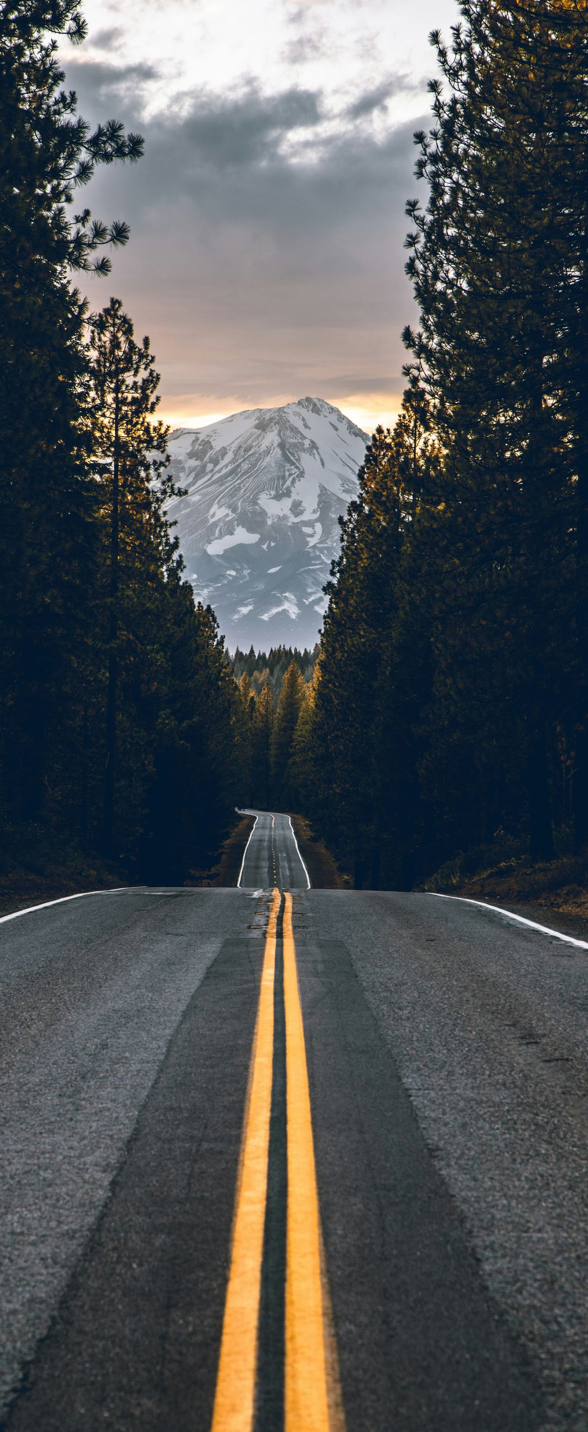 Empty road lined with tall trees, leading toward a snow-capped mountain under cloudy sky
