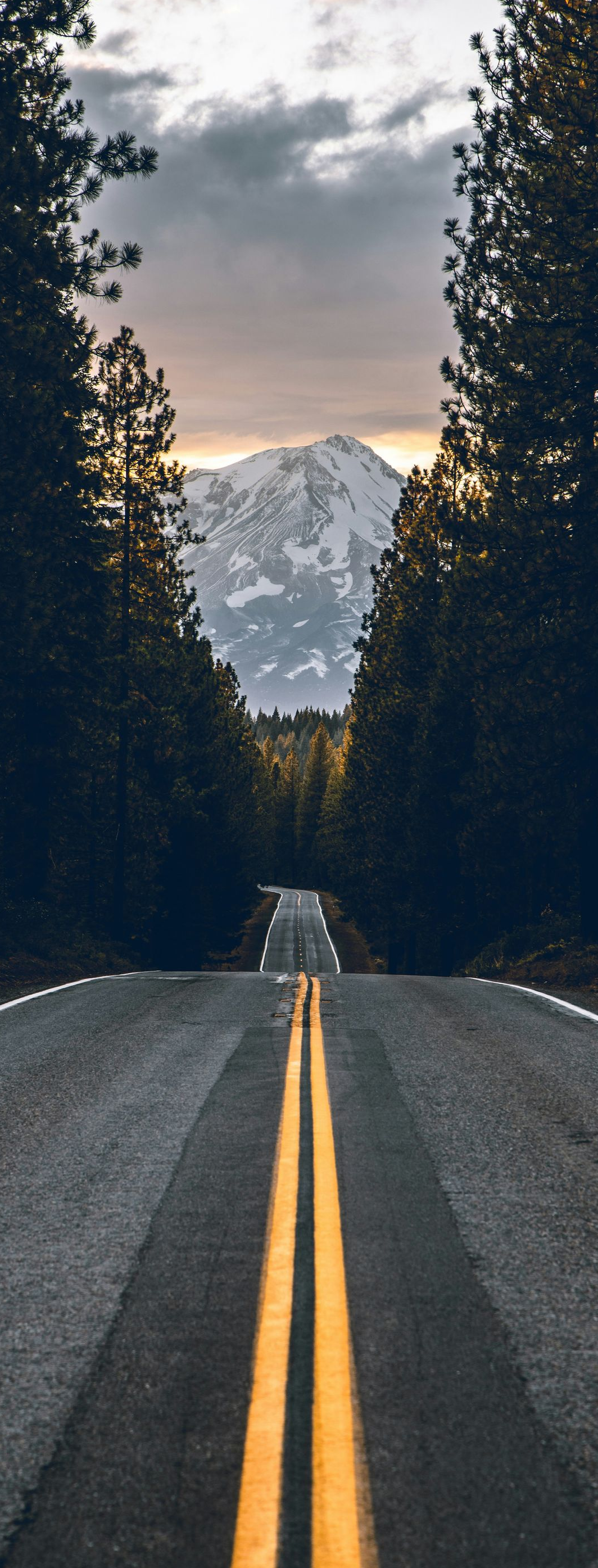 Empty road lined with tall trees, leading toward a snow-capped mountain under cloudy sky