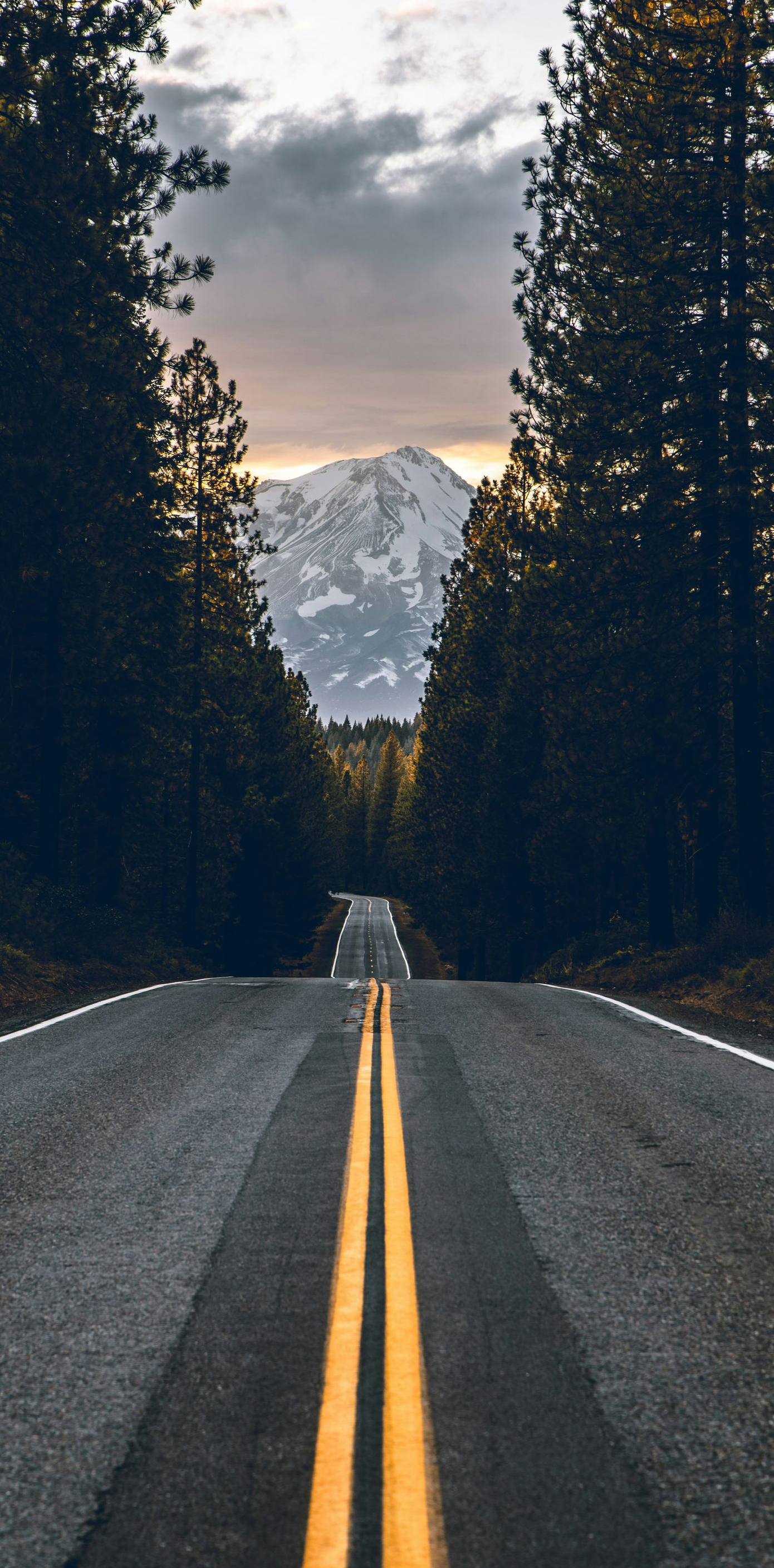 Empty road lined with tall trees, leading toward a snow-capped mountain under cloudy sky