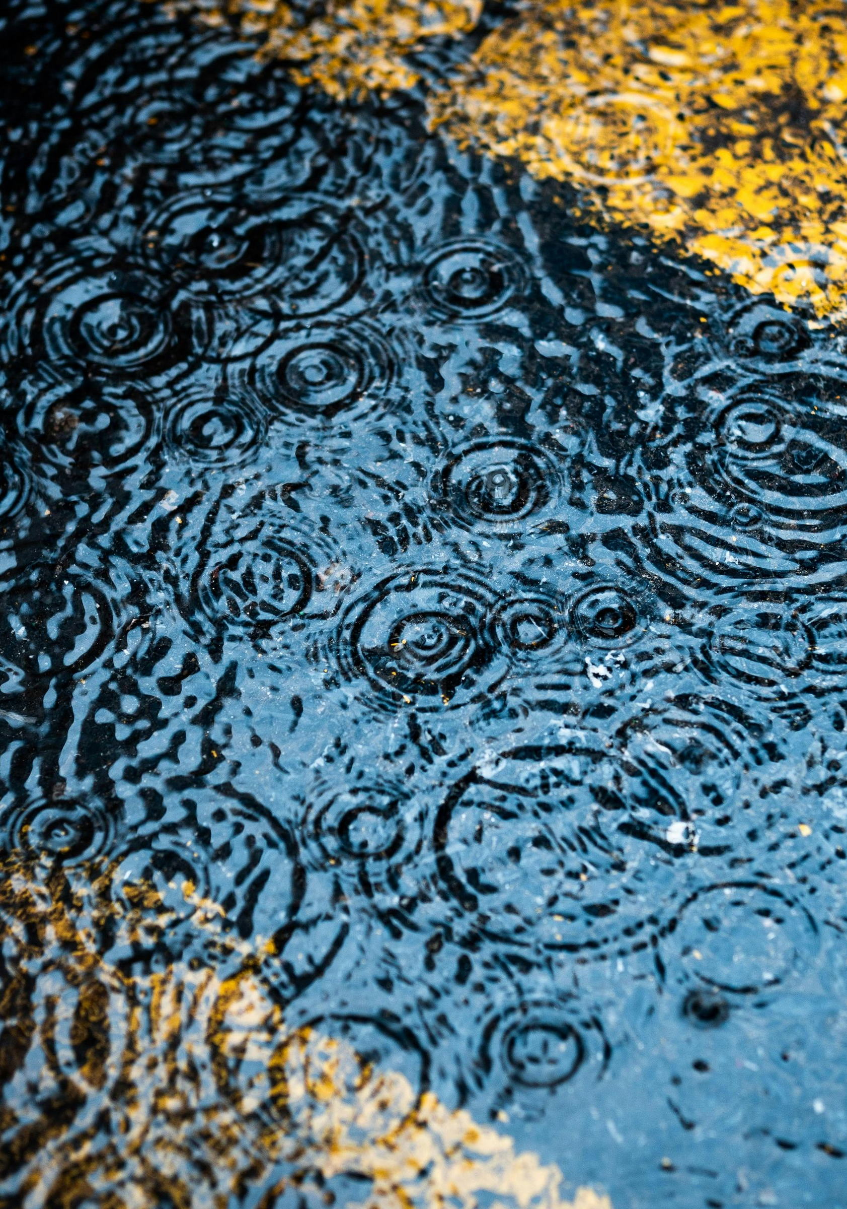 Rain ripples on blue pavement beside yellow painted markings and a rough curb.