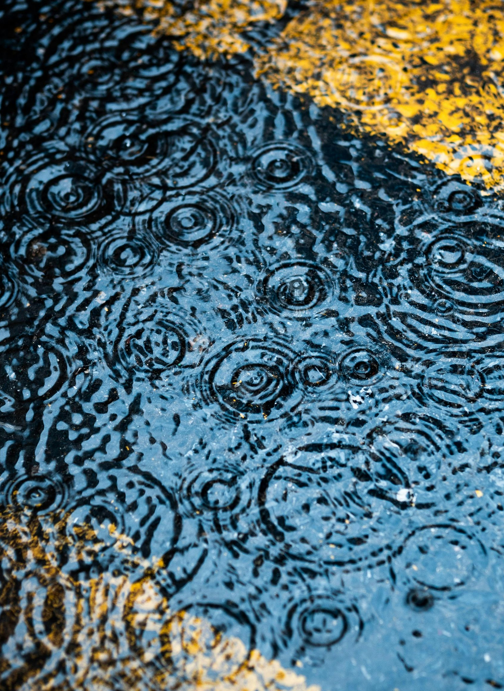 Rain ripples on blue pavement beside yellow painted markings and a rough curb.
