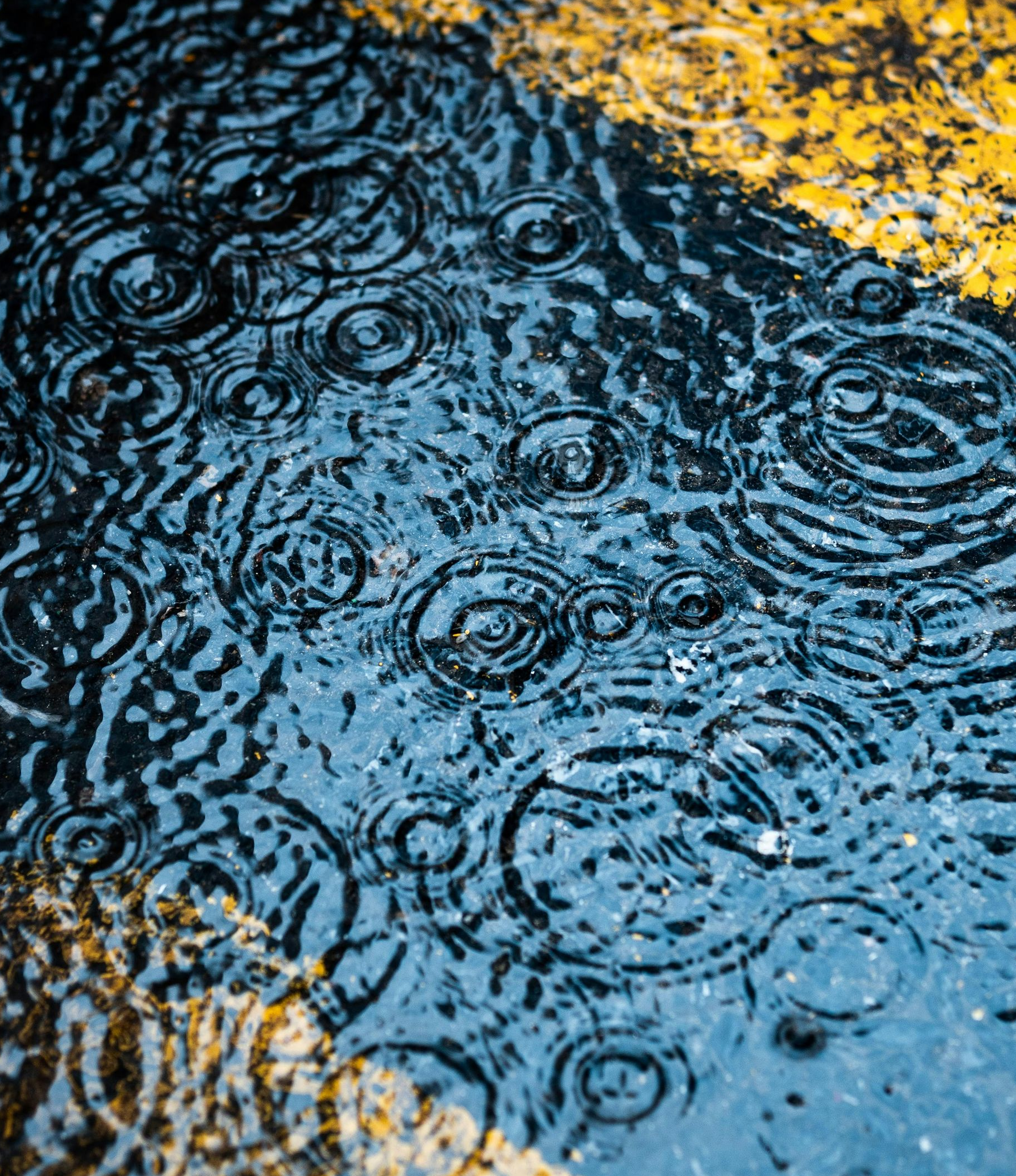 Rain ripples on a wet street with yellow lane markings reflected in blue water.