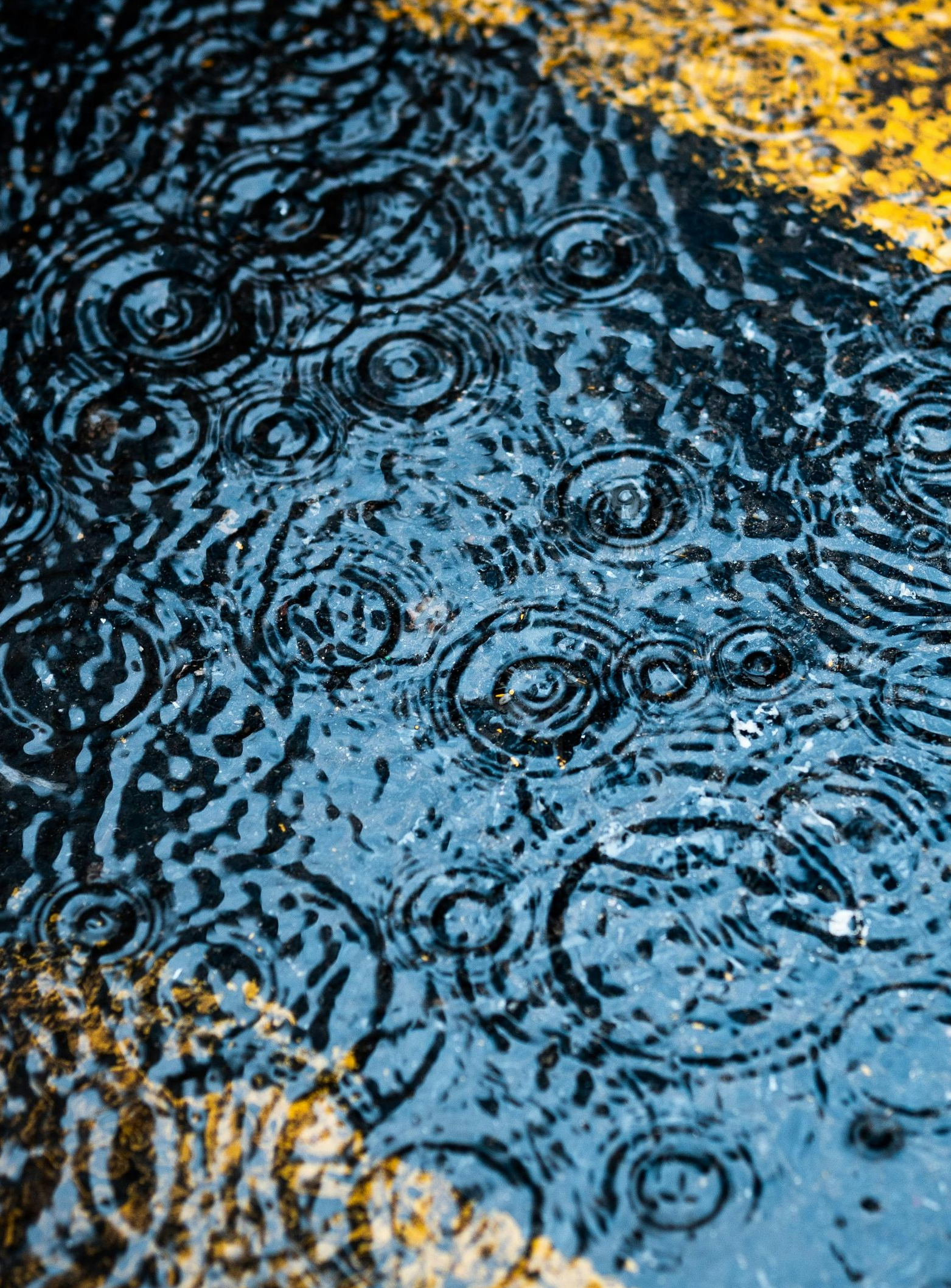 Rain ripples on a wet street with yellow lane markings reflected in blue water.