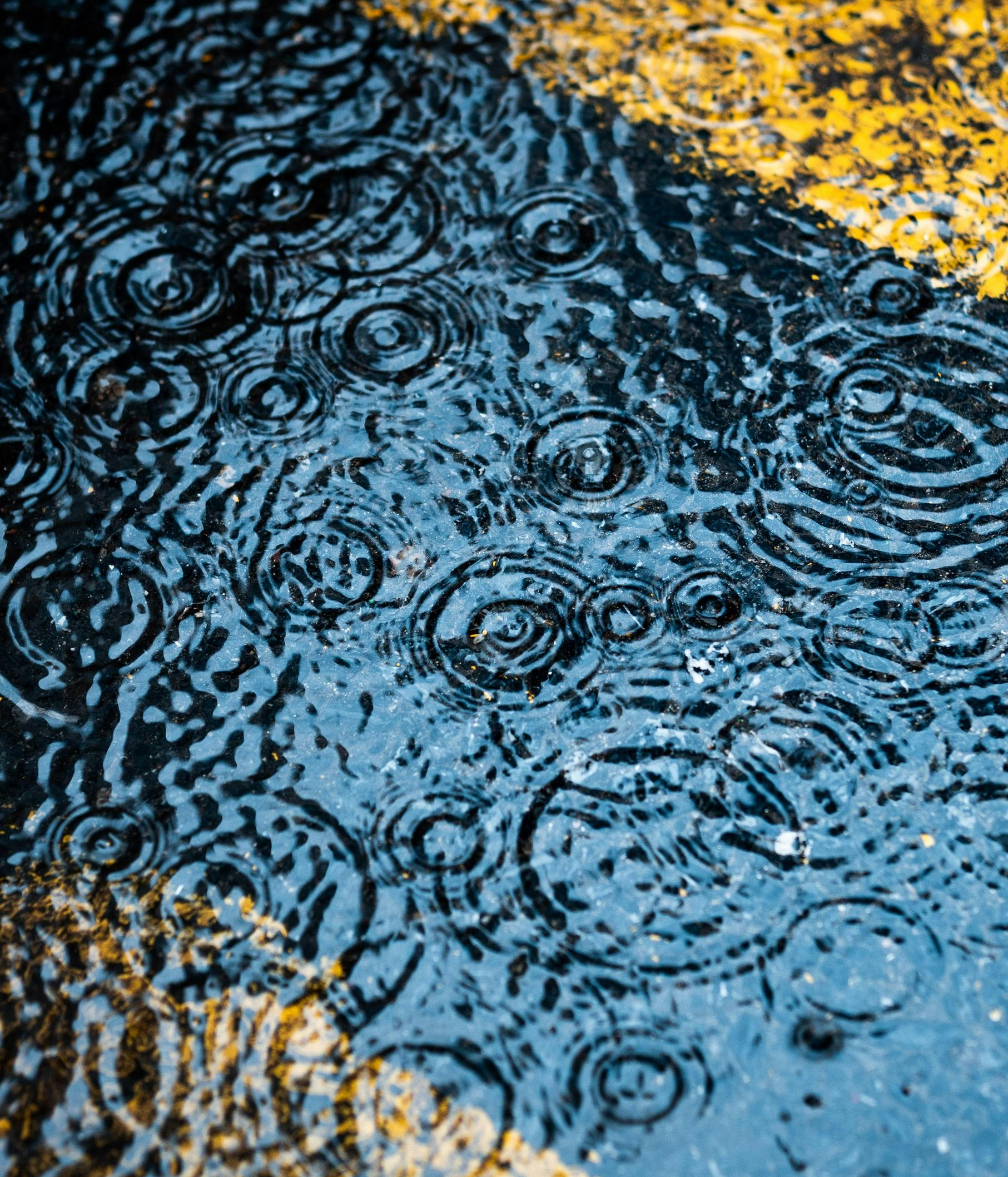 Rain ripples on a wet street with yellow lane markings reflected in blue water.
