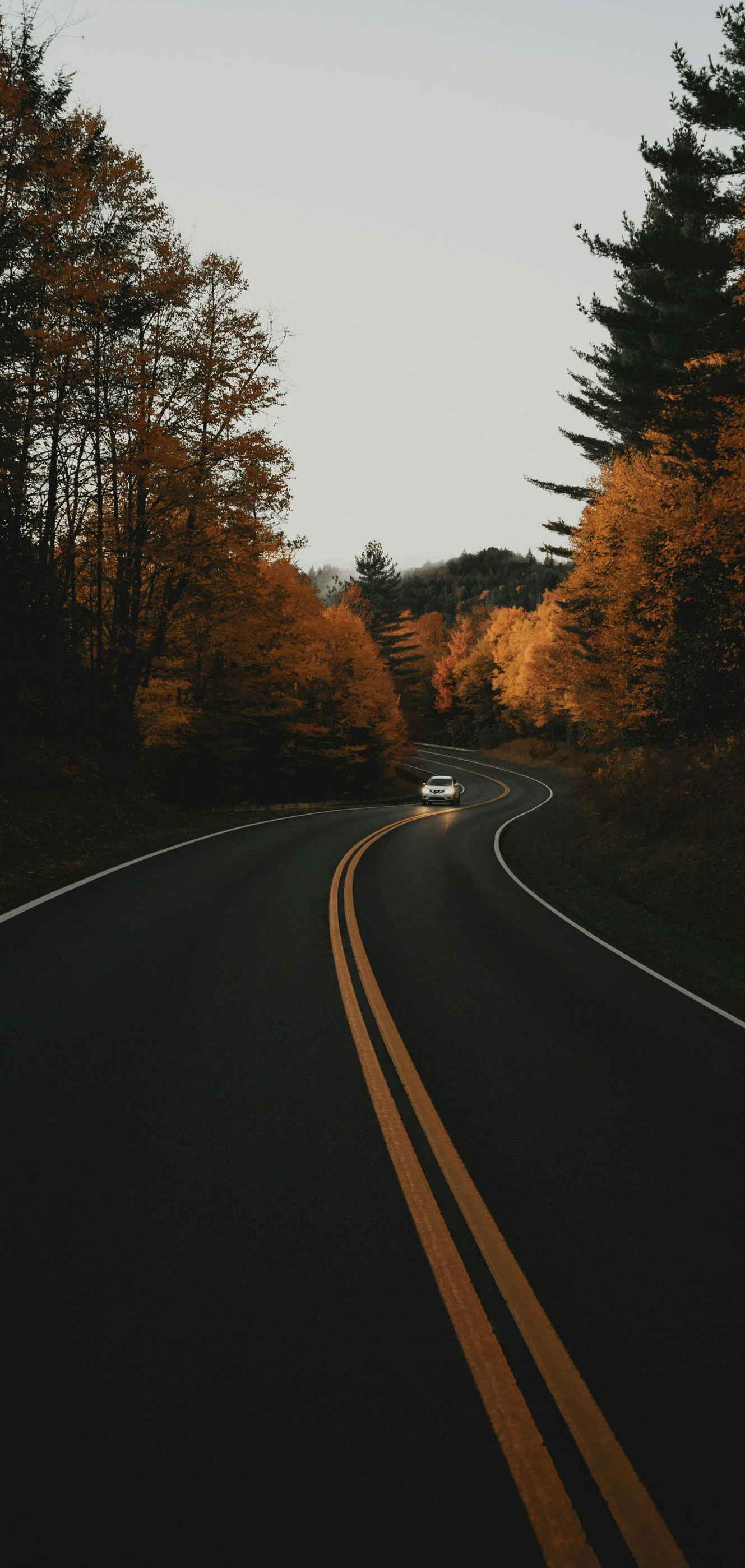 Curving road through dark autumn trees at dusk, with double yellow lines and a car in the distance.