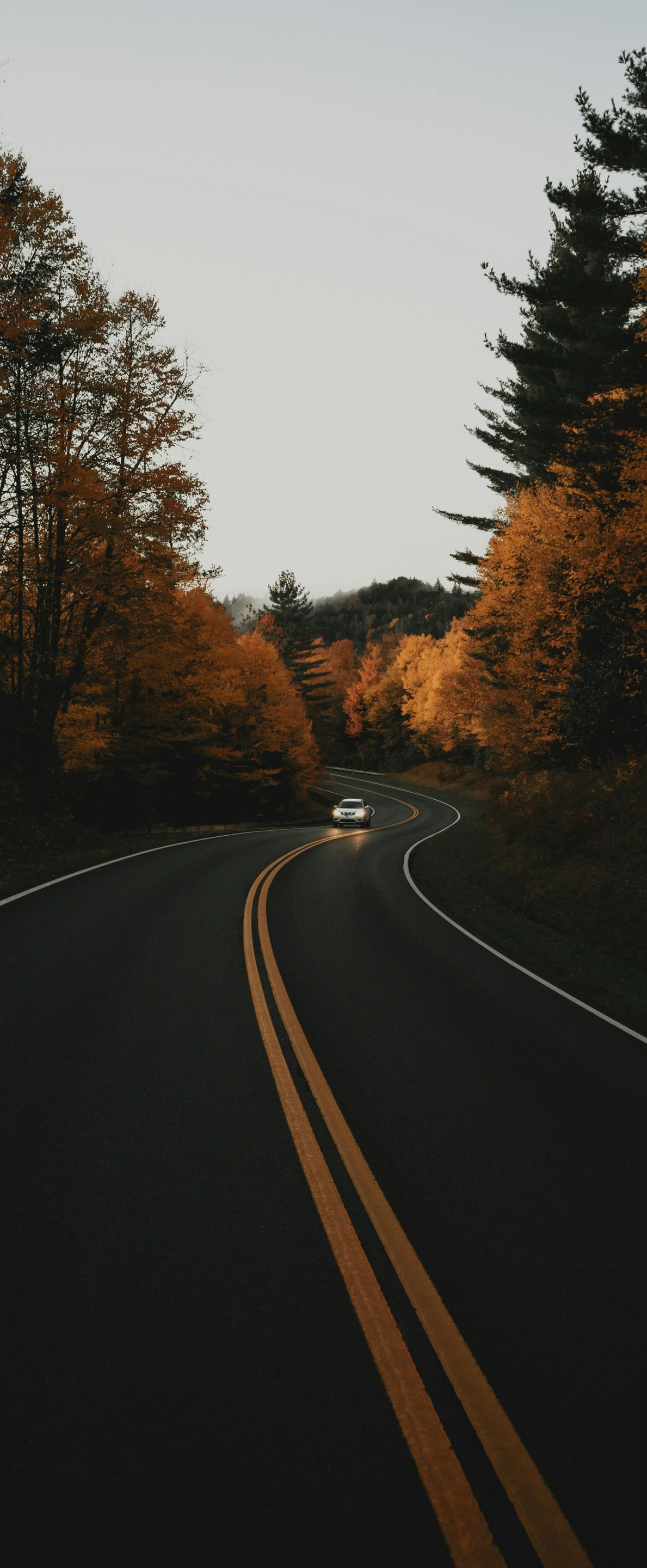 Curving road through dark autumn trees at dusk, with double yellow lines and a car in the distance.