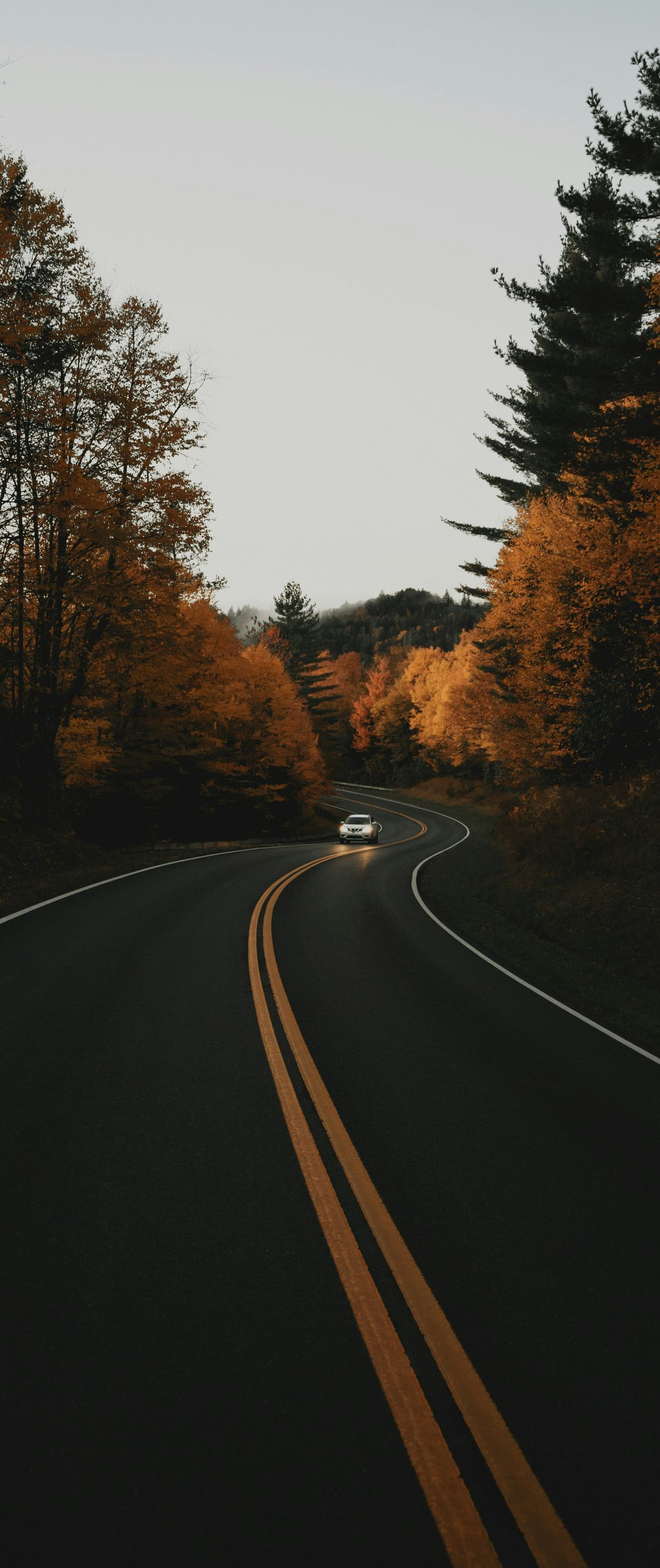 Curving road through dark autumn trees at dusk, with double yellow lines and a car in the distance.