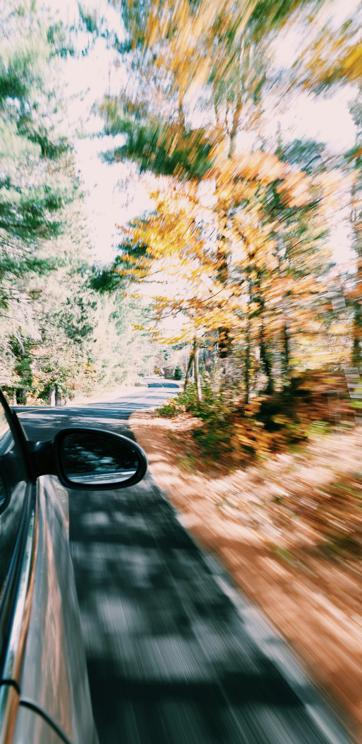 View from a moving car on a tree-lined road in autumn, with motion blur and orange leaves.