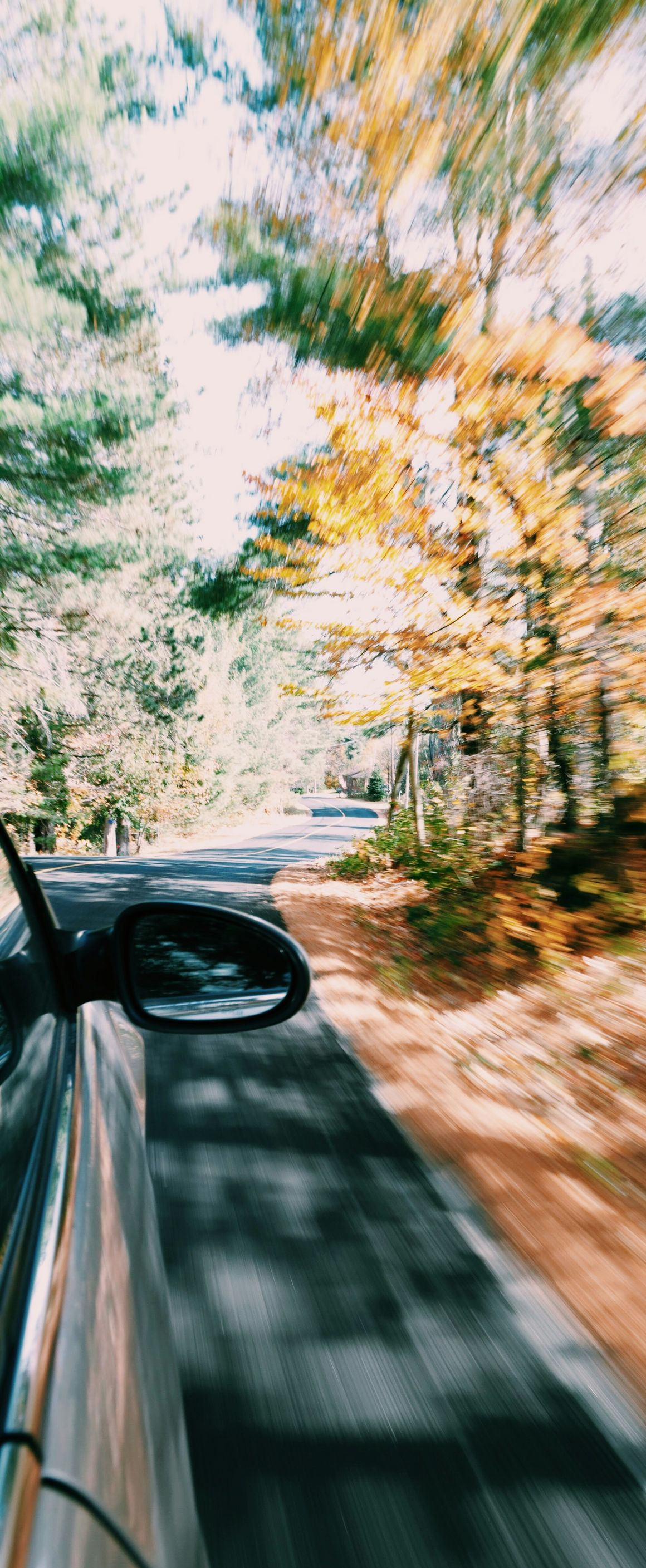 View from a moving car on a tree-lined road in autumn, with motion blur and a side mirror visible