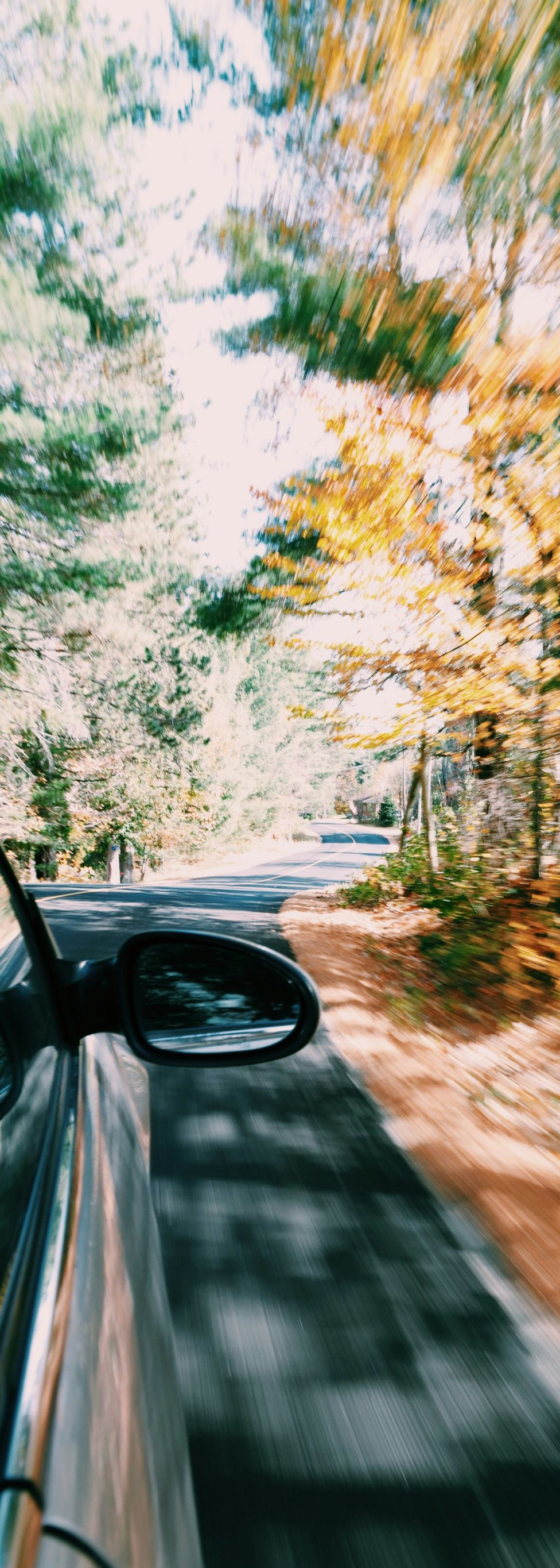 View from a moving car on a tree-lined road in autumn, with motion blur and a side mirror visible