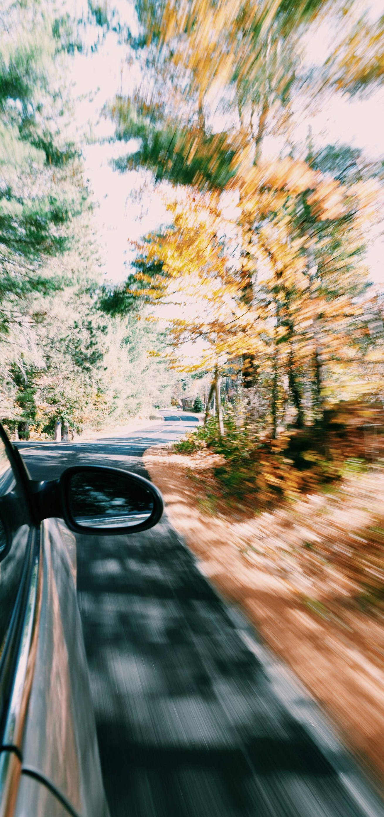 View from a moving car on a tree-lined road in autumn, with motion blur and orange leaves.