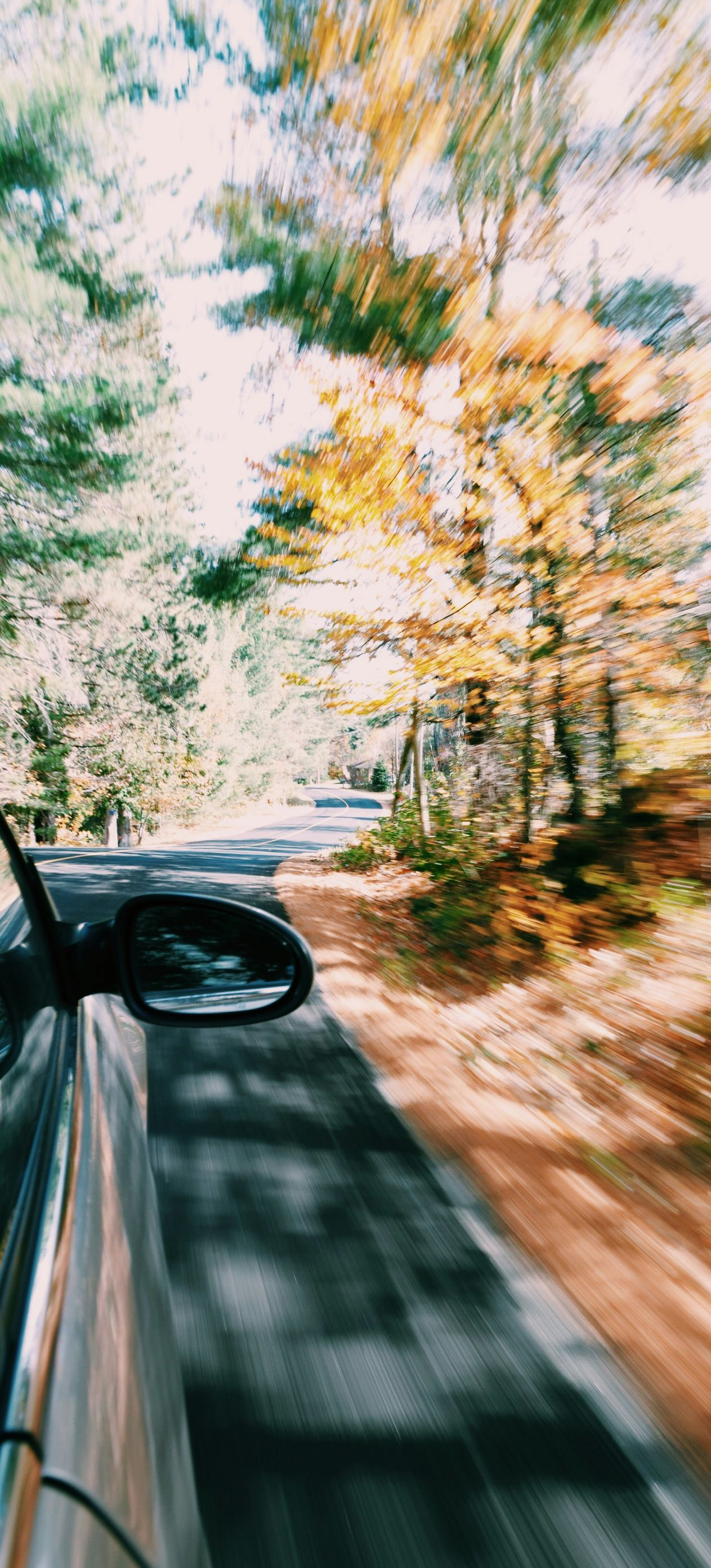 View from a moving car on a tree-lined road in autumn, with motion blur and orange leaves.