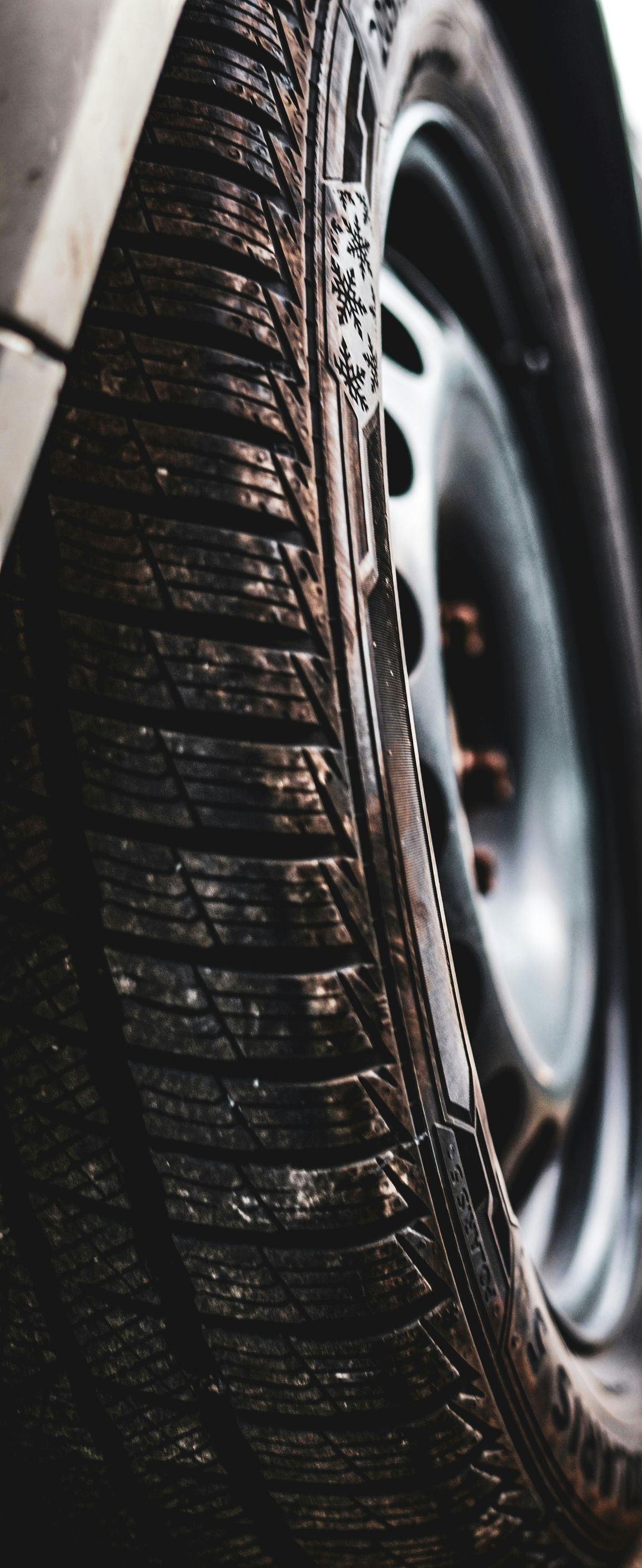 Close-up of a wet car tire with tread and wheel rim visible