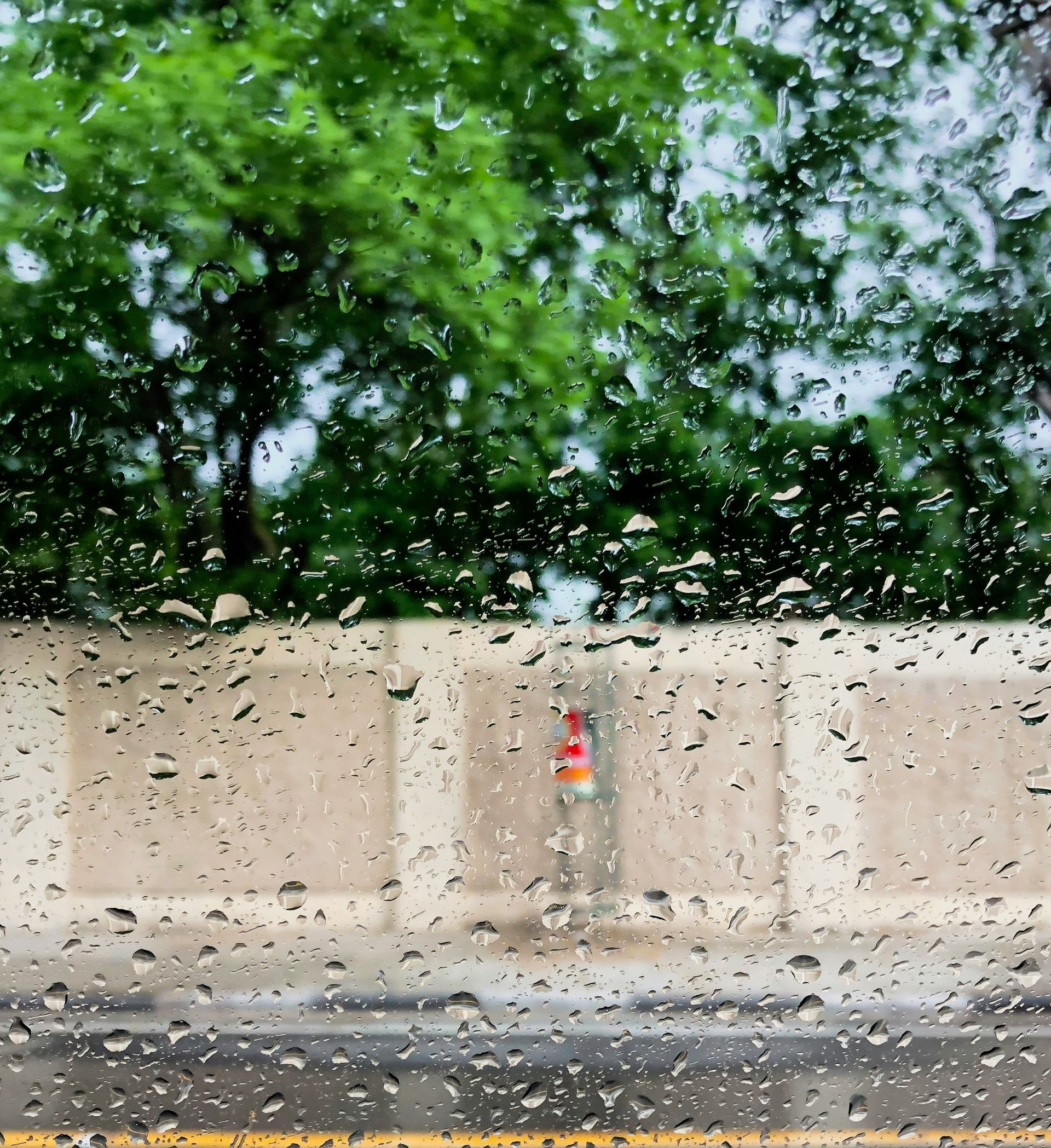 Rainy street view through a wet window, with a beige wall, trees, and road markings visible.