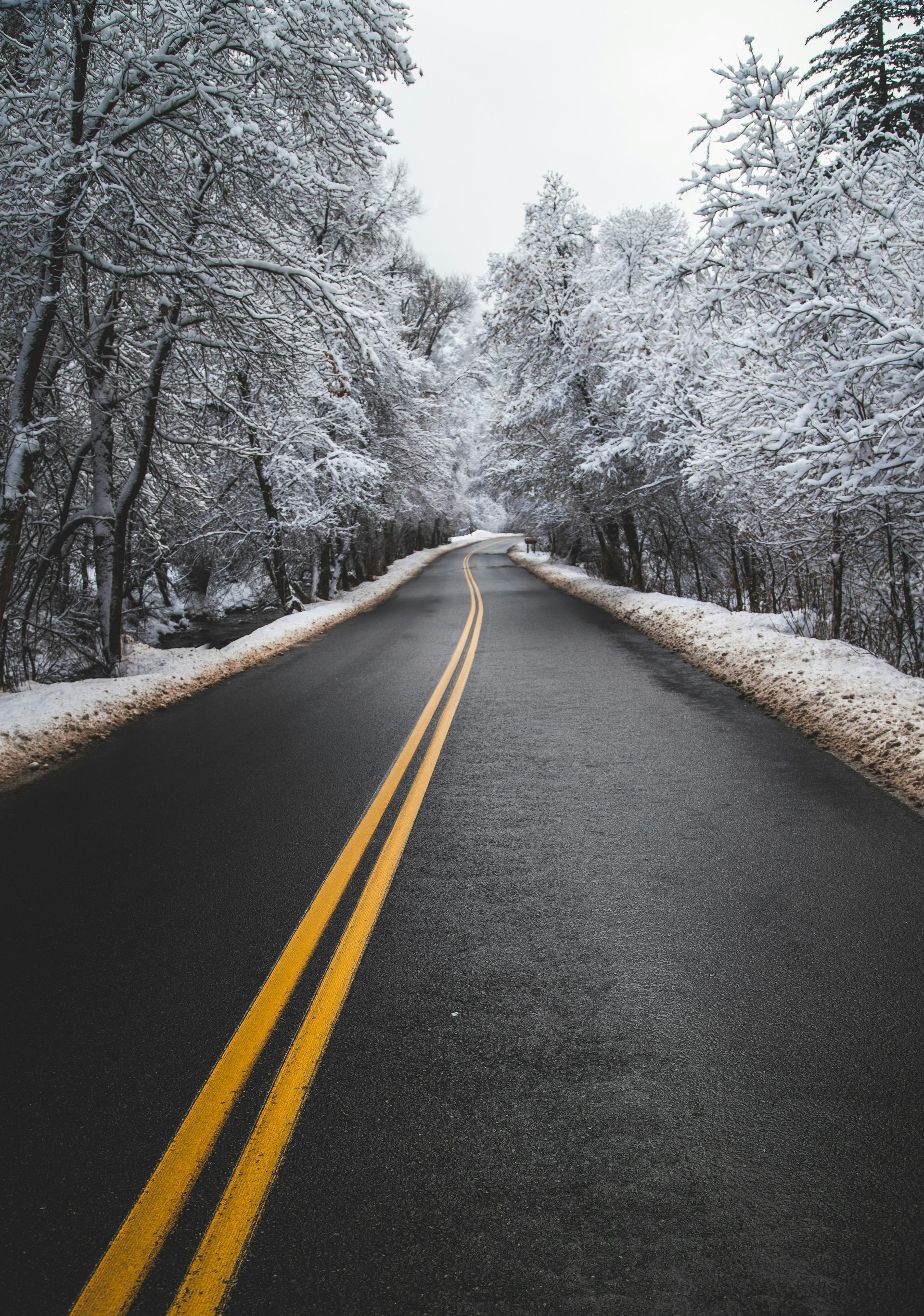 Asphalt road through snow-covered trees, under overcast sky.
