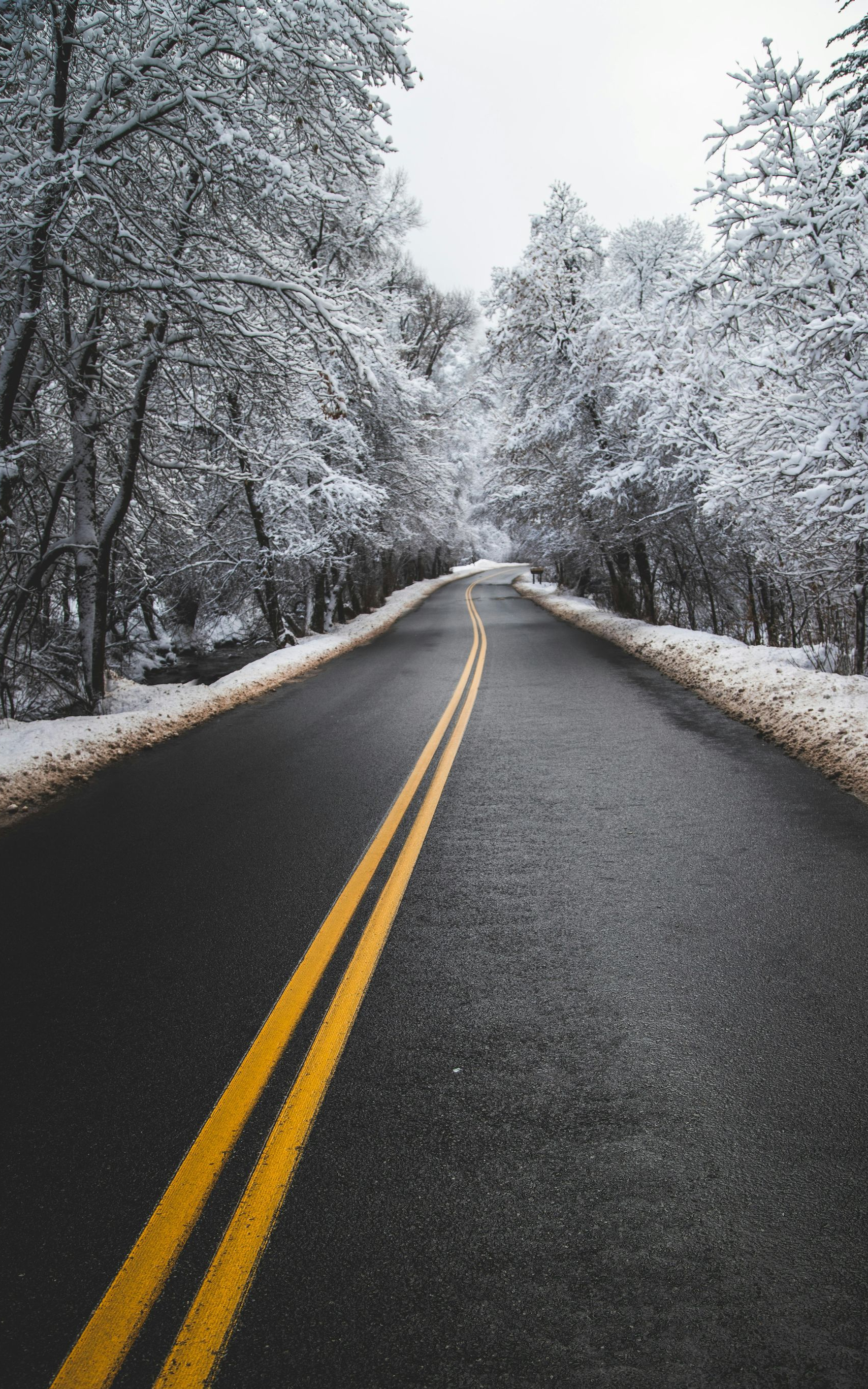 Asphalt road through snow-covered trees, under overcast sky.
