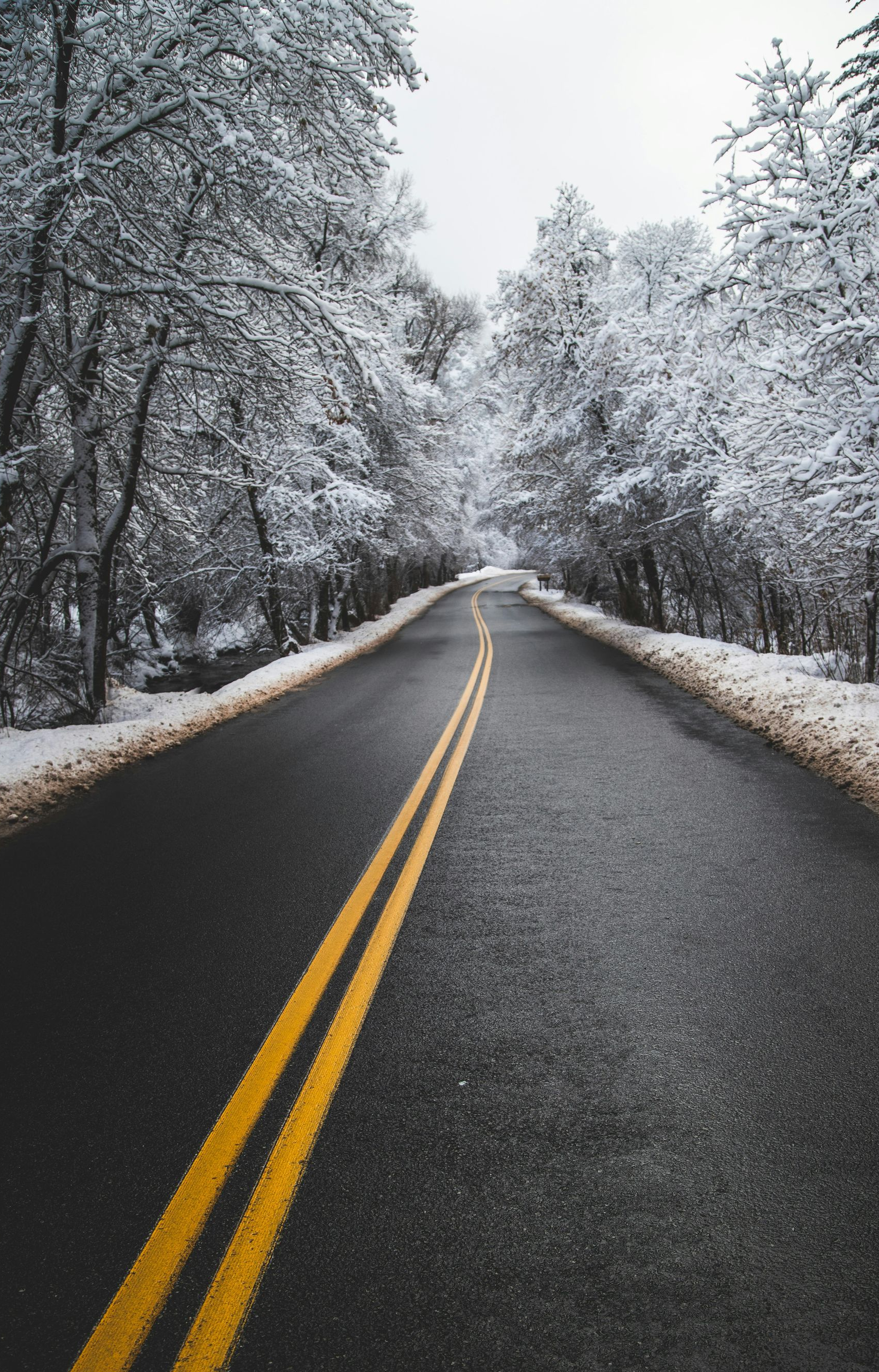 Asphalt road through snow-covered trees, under overcast sky.