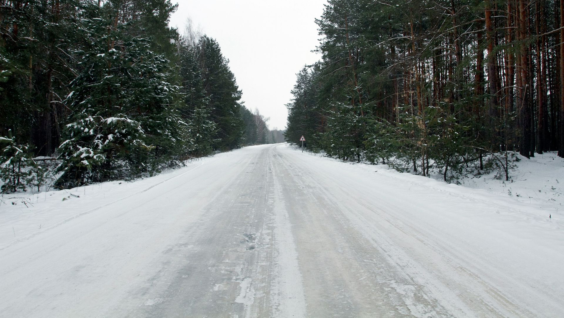 Snow-covered road through a forest of evergreens on an overcast day.