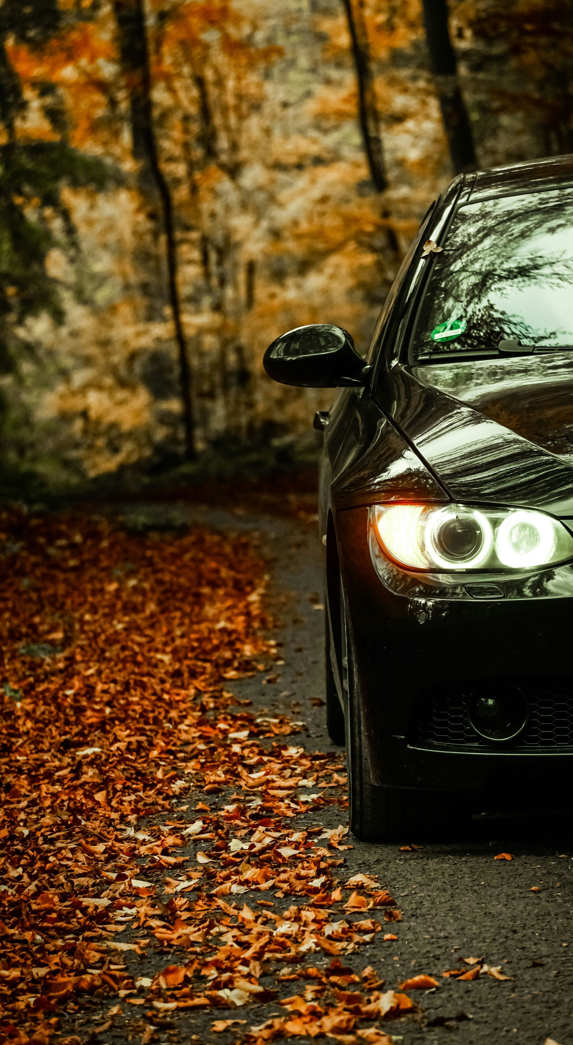 Black car parked on a road covered in fall leaves; autumn forest in the background.
