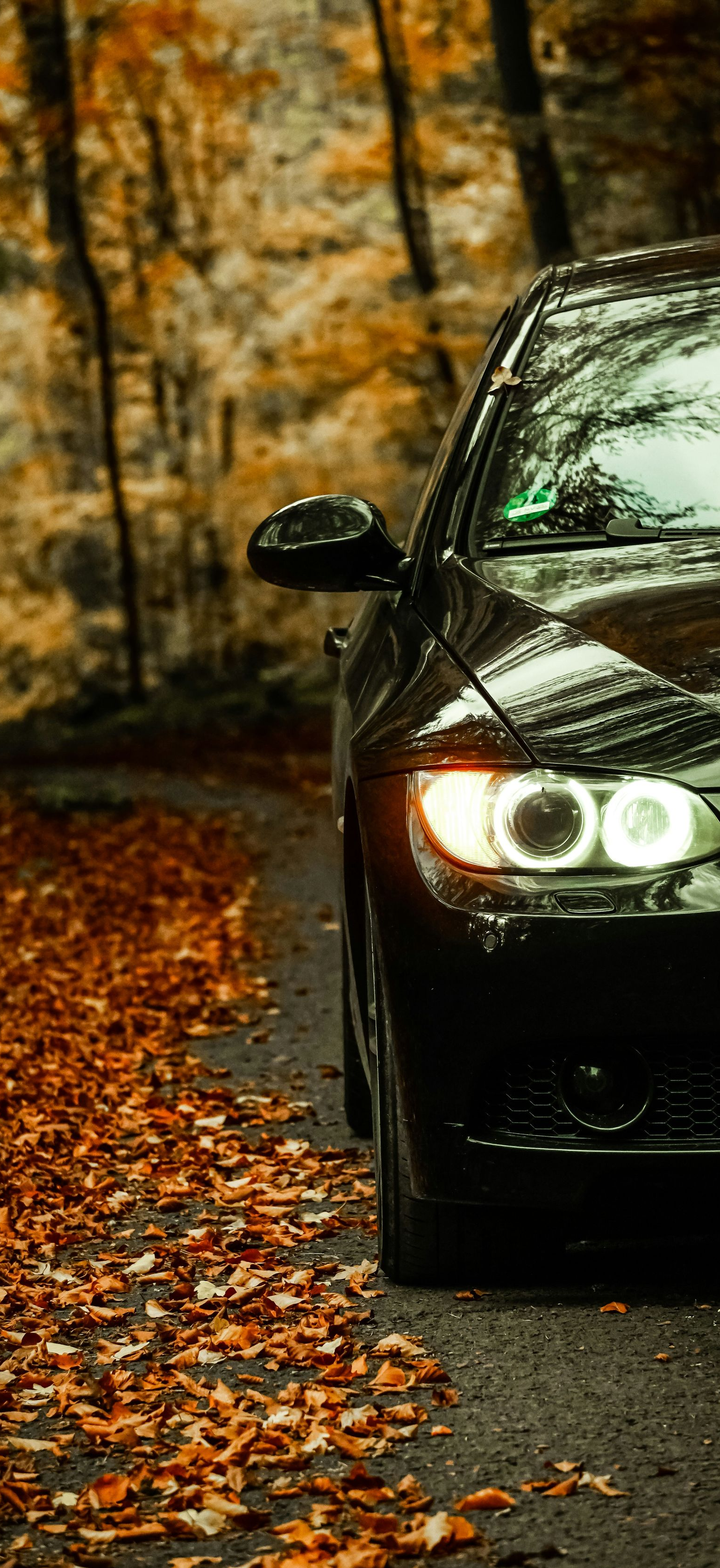 Black car parked on a road covered in fall leaves; autumn forest in the background.
