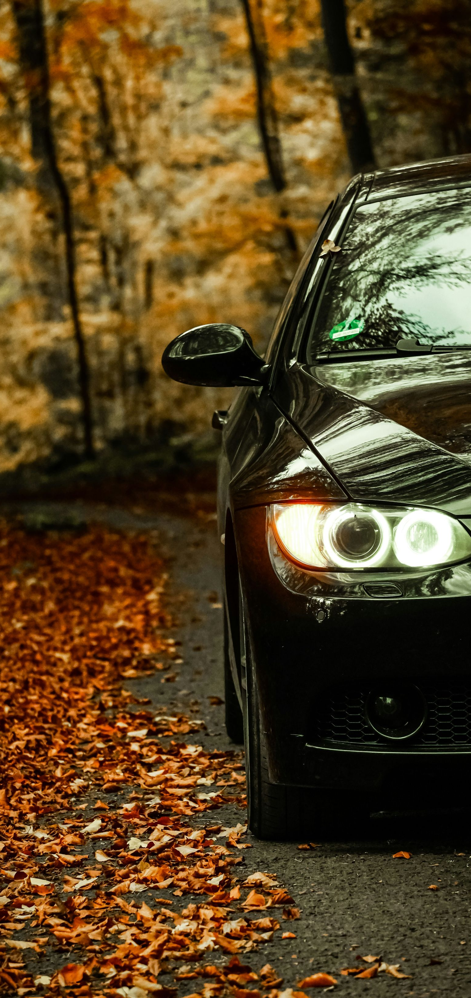 Black car parked on a road covered in fall leaves; autumn forest in the background.