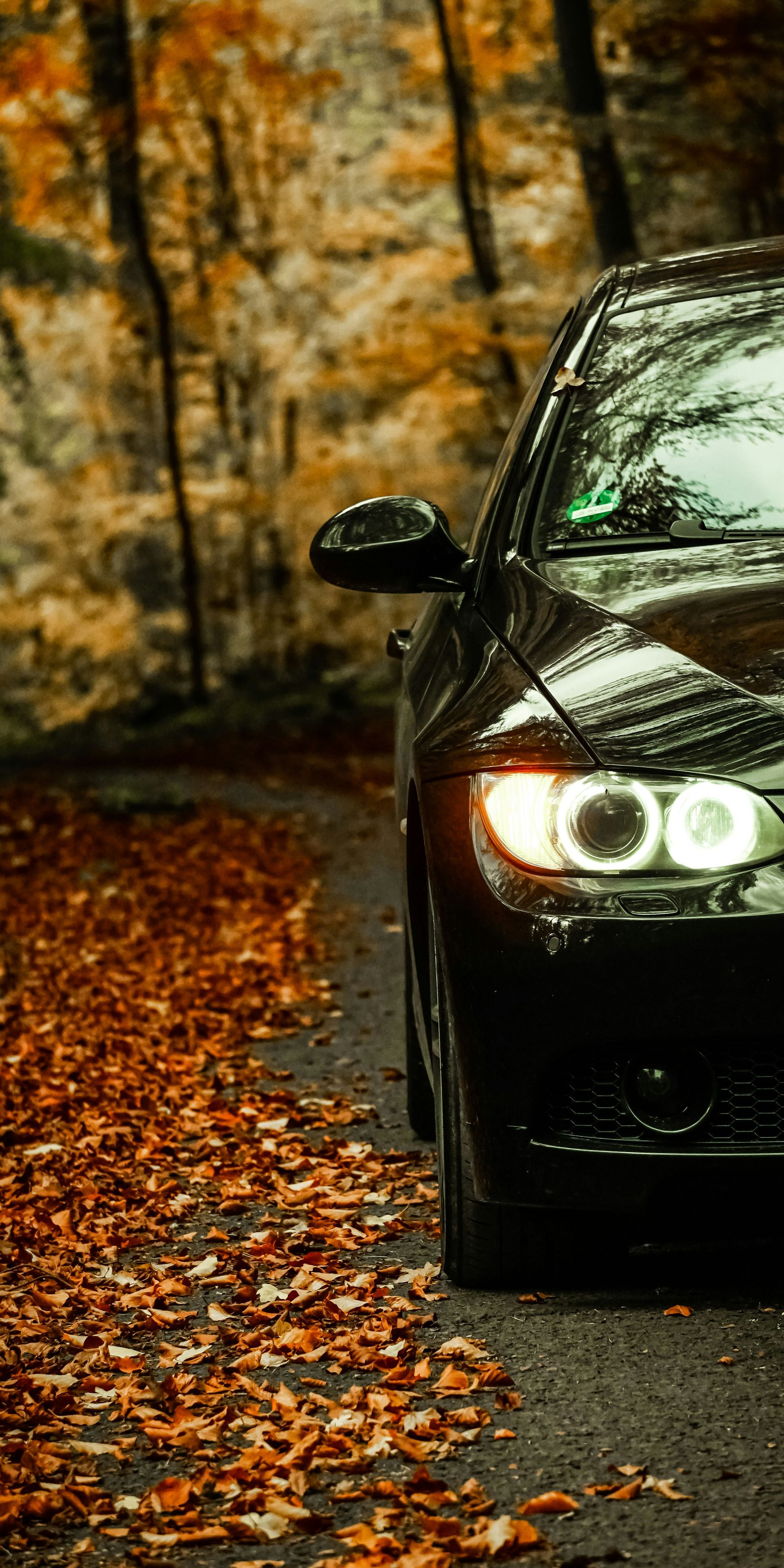 Black car parked on a road covered in fall leaves; autumn forest in the background.