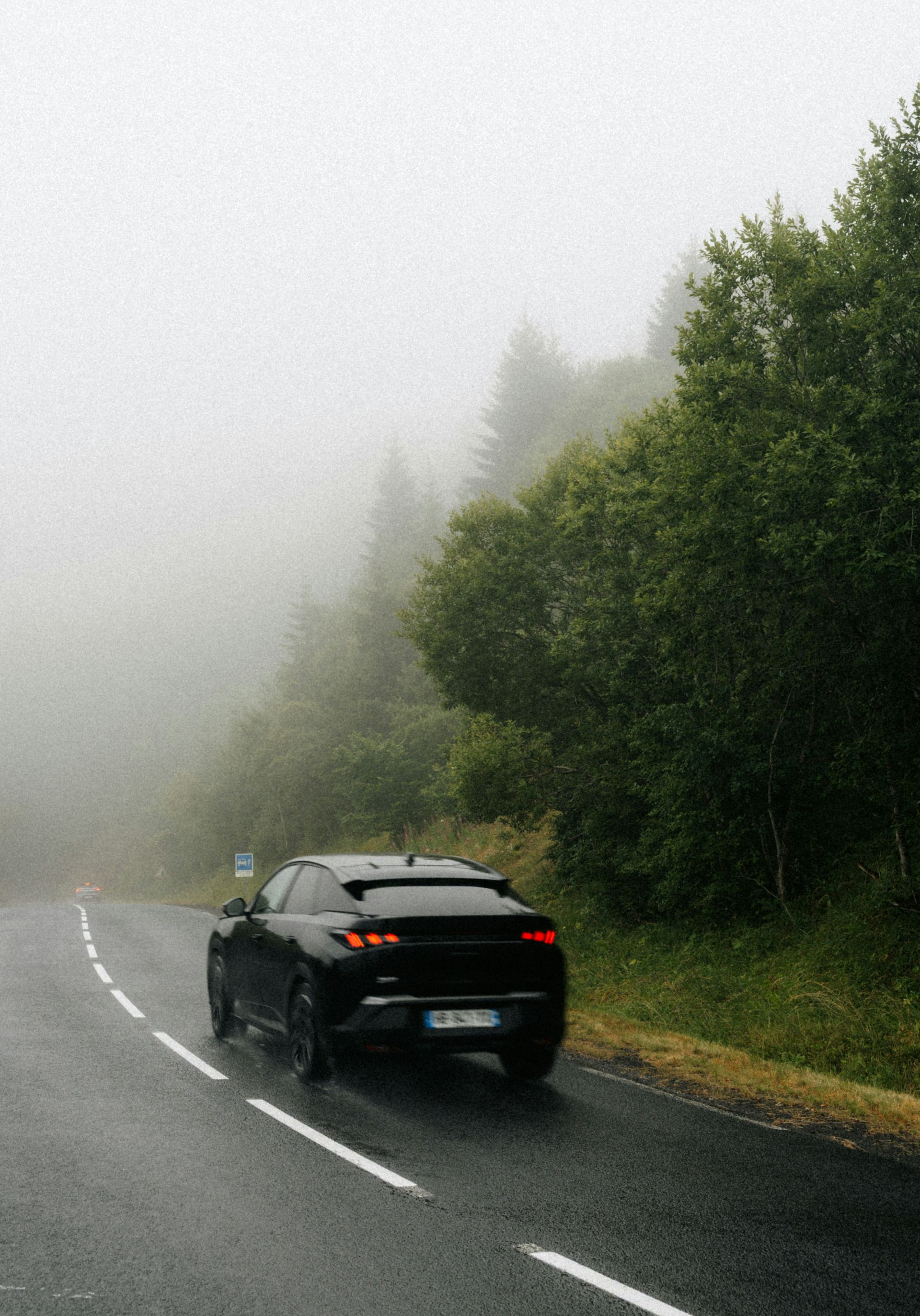 Black car driving on a wet, foggy road beside dense green trees