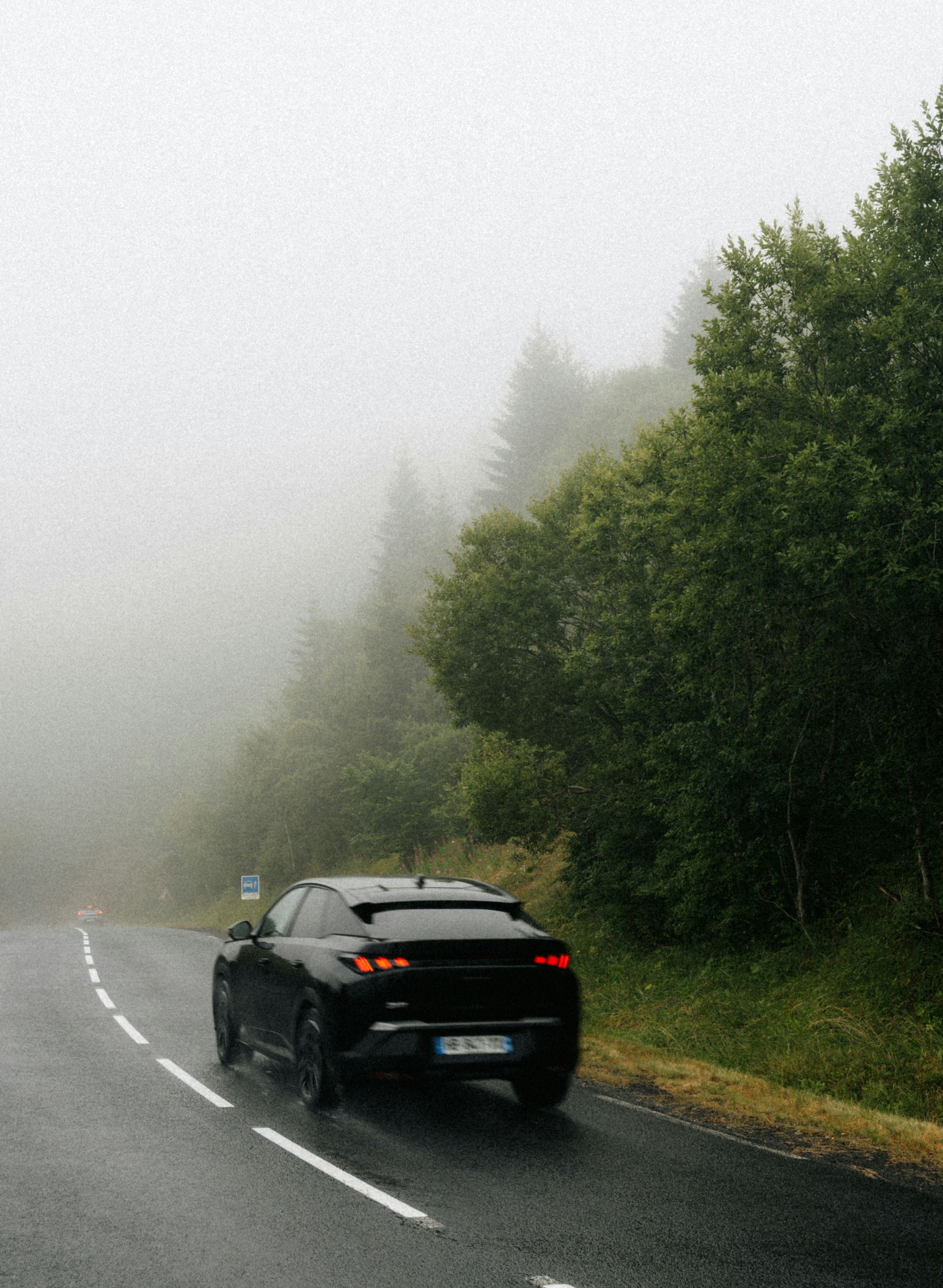 Black car driving on a wet, foggy road beside dense green trees
