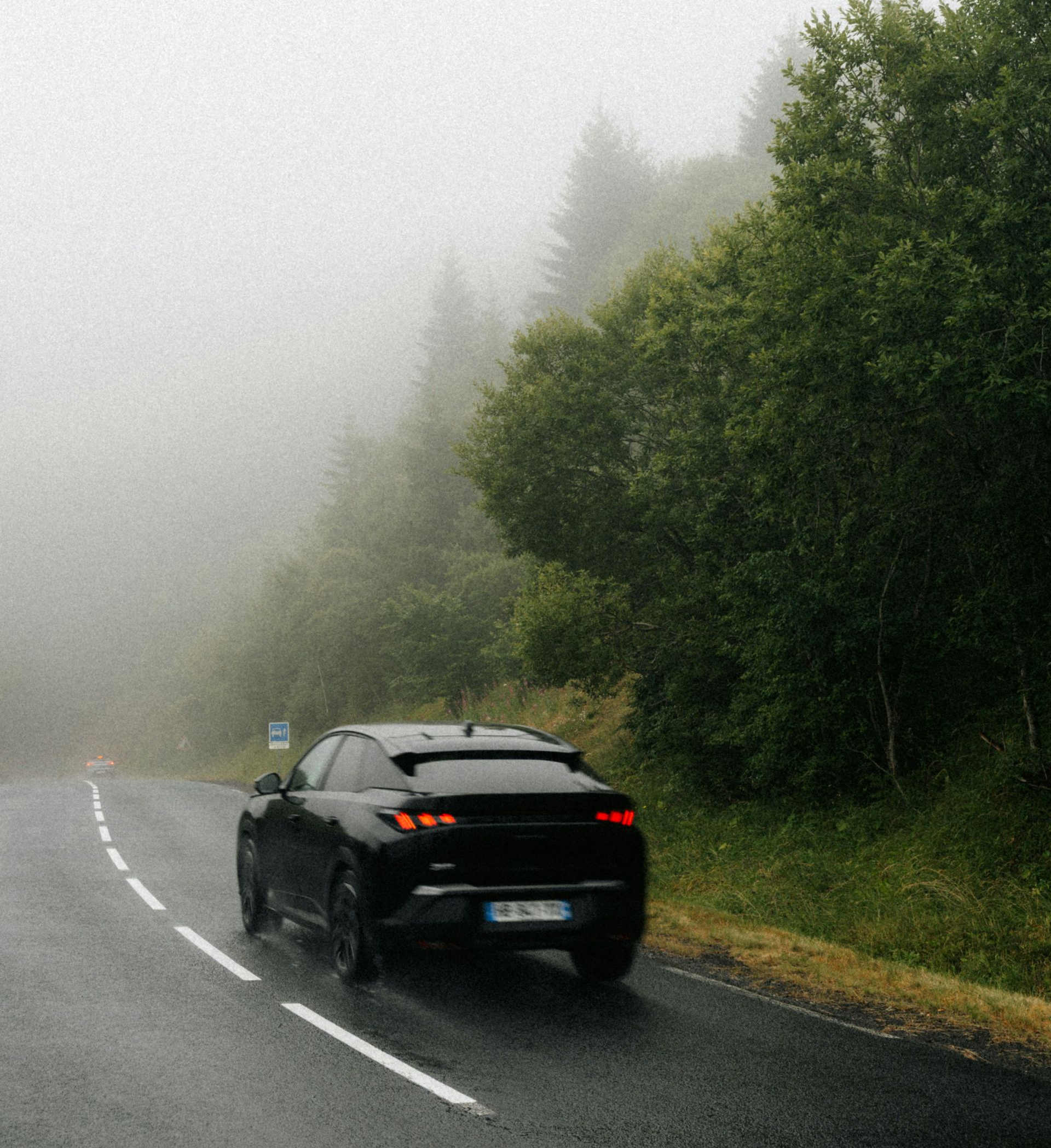Black car driving on a wet, foggy road beside dense green trees