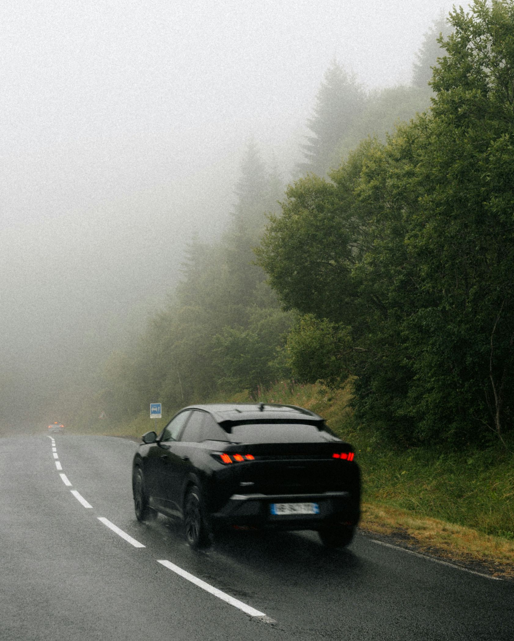 Black car driving on a wet, foggy road beside dense green trees