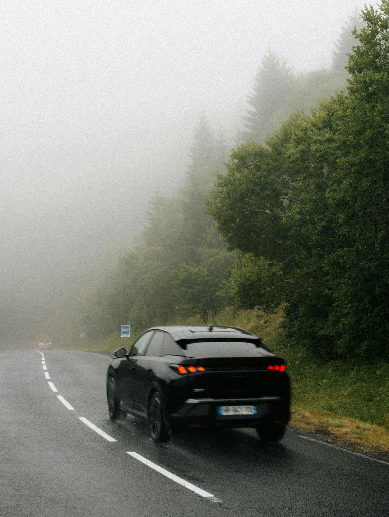 Black car driving on a wet, foggy road beside dense green trees