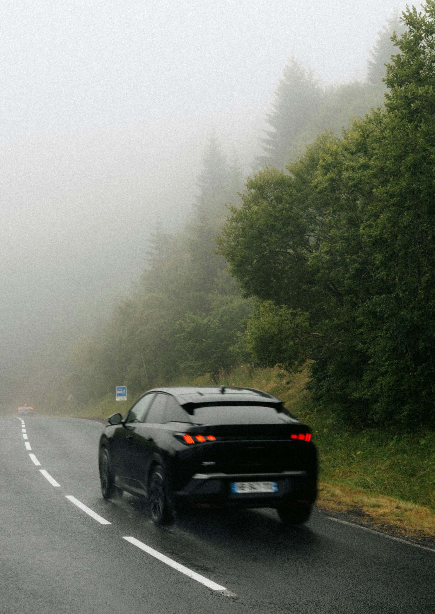 Black car driving on a foggy, wet road beside dense green trees