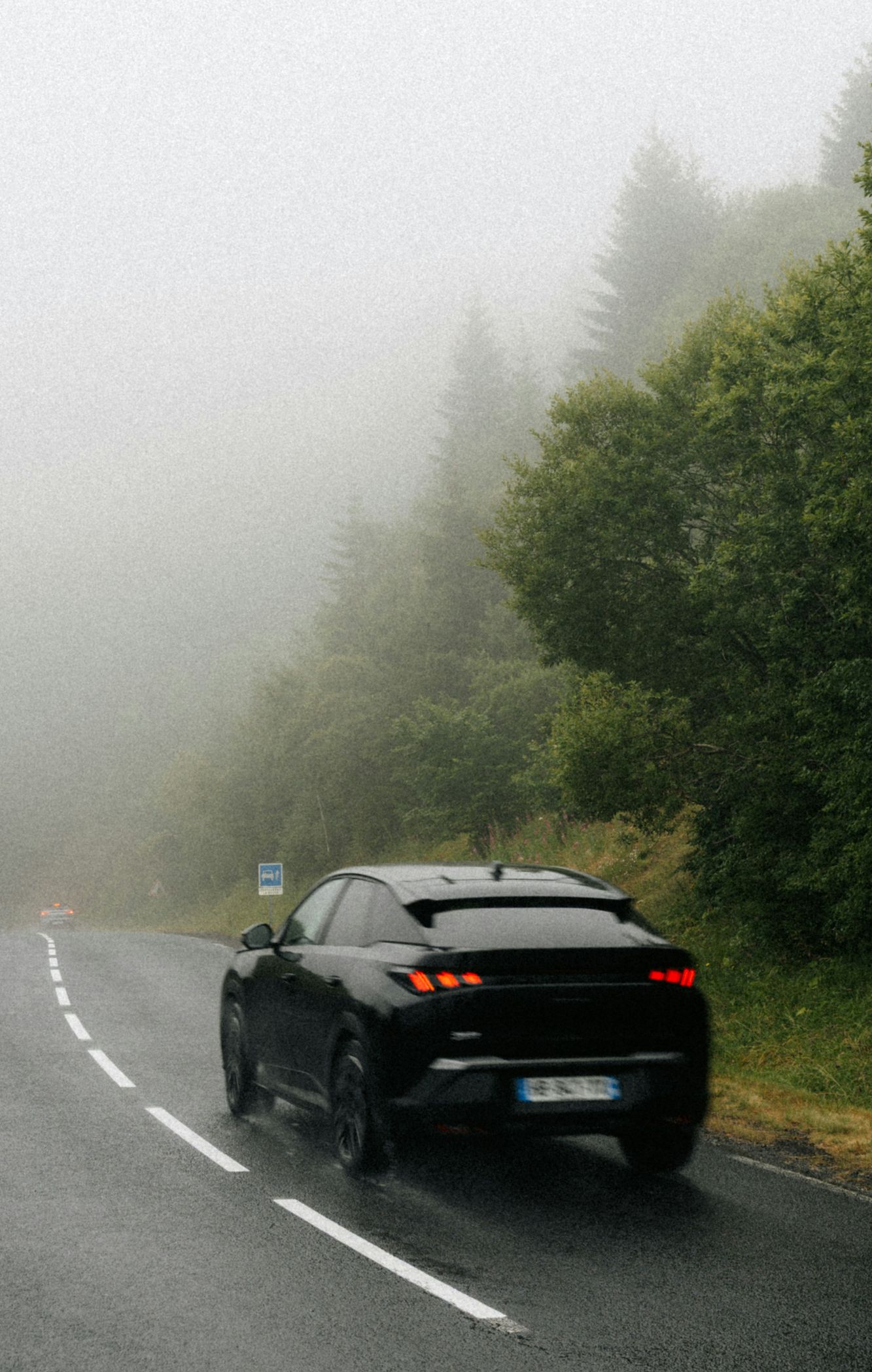 Black car driving on a foggy, wet road beside dense green trees