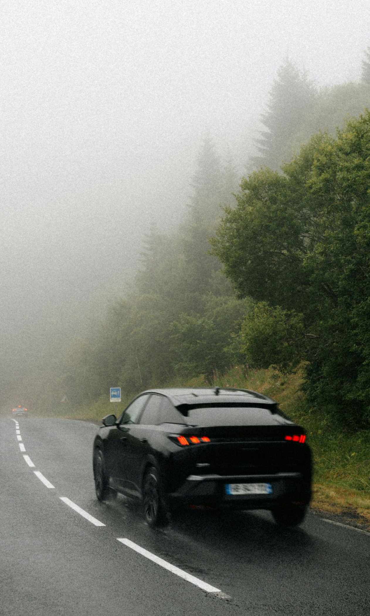 Black car driving on a foggy, wet road beside dense green trees