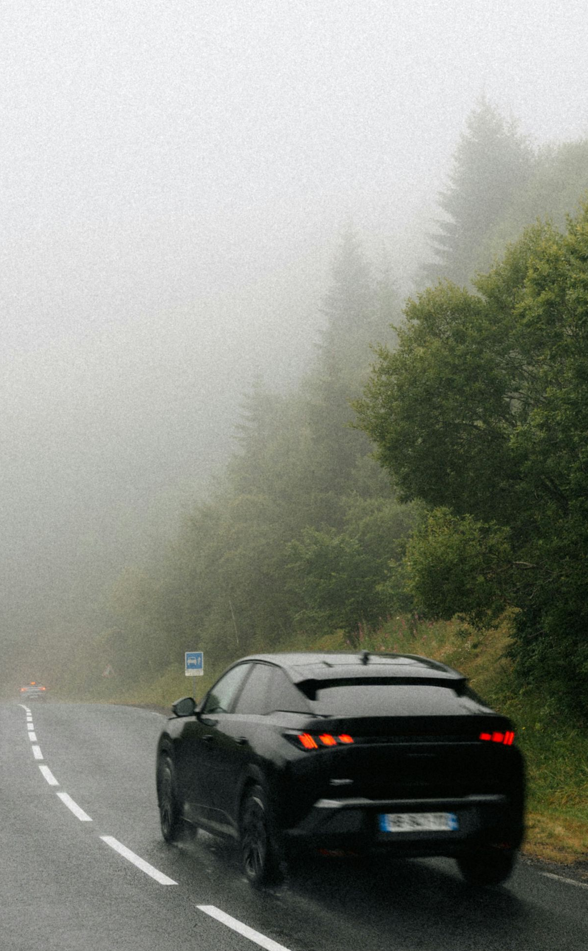 Black car driving on a foggy, wet road beside dense green trees