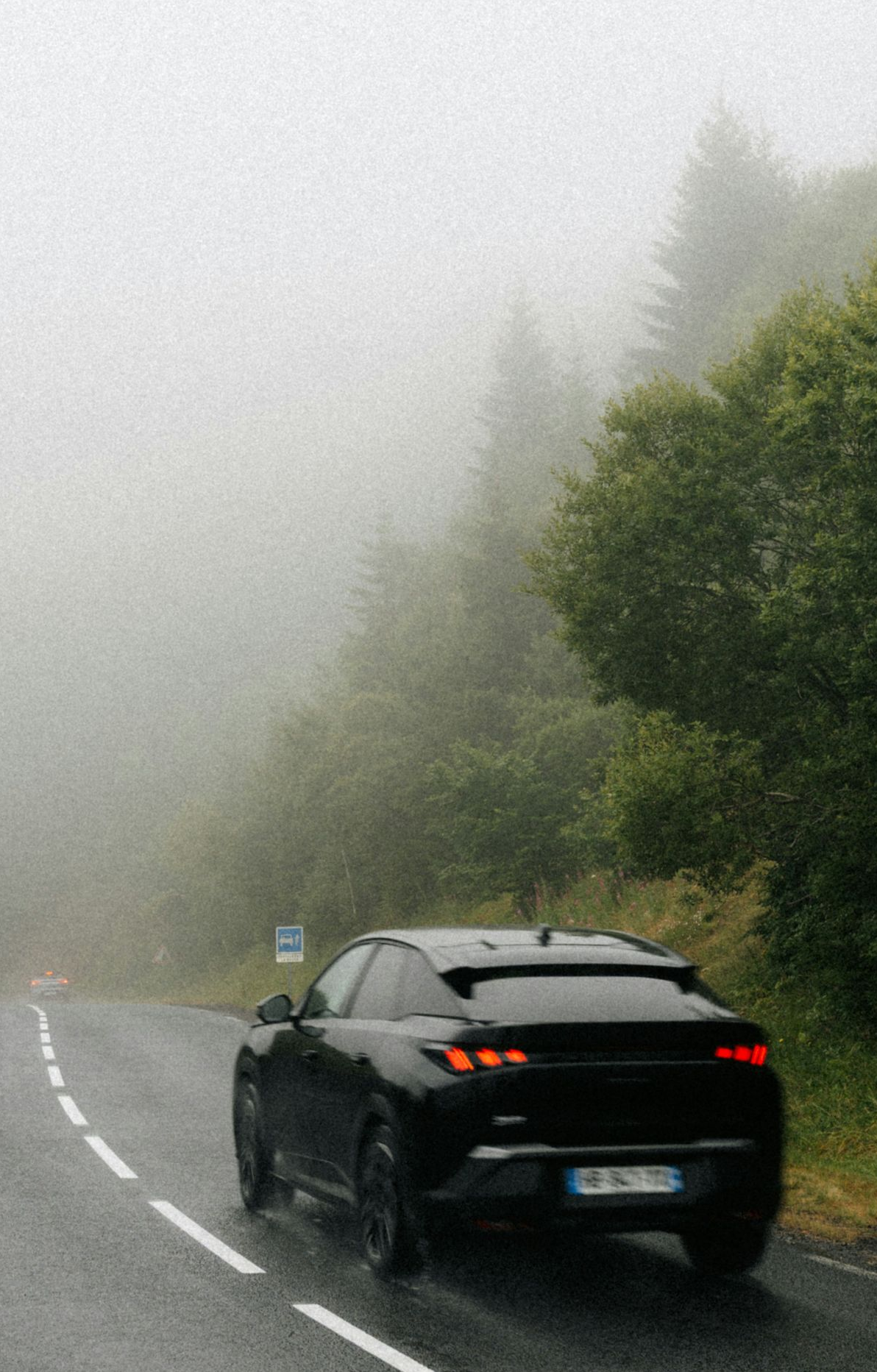 Black car driving on a foggy, wet road beside dense green trees