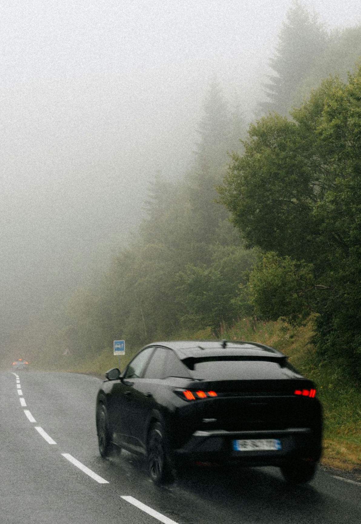 Black car driving on a foggy, wet road beside dense green trees